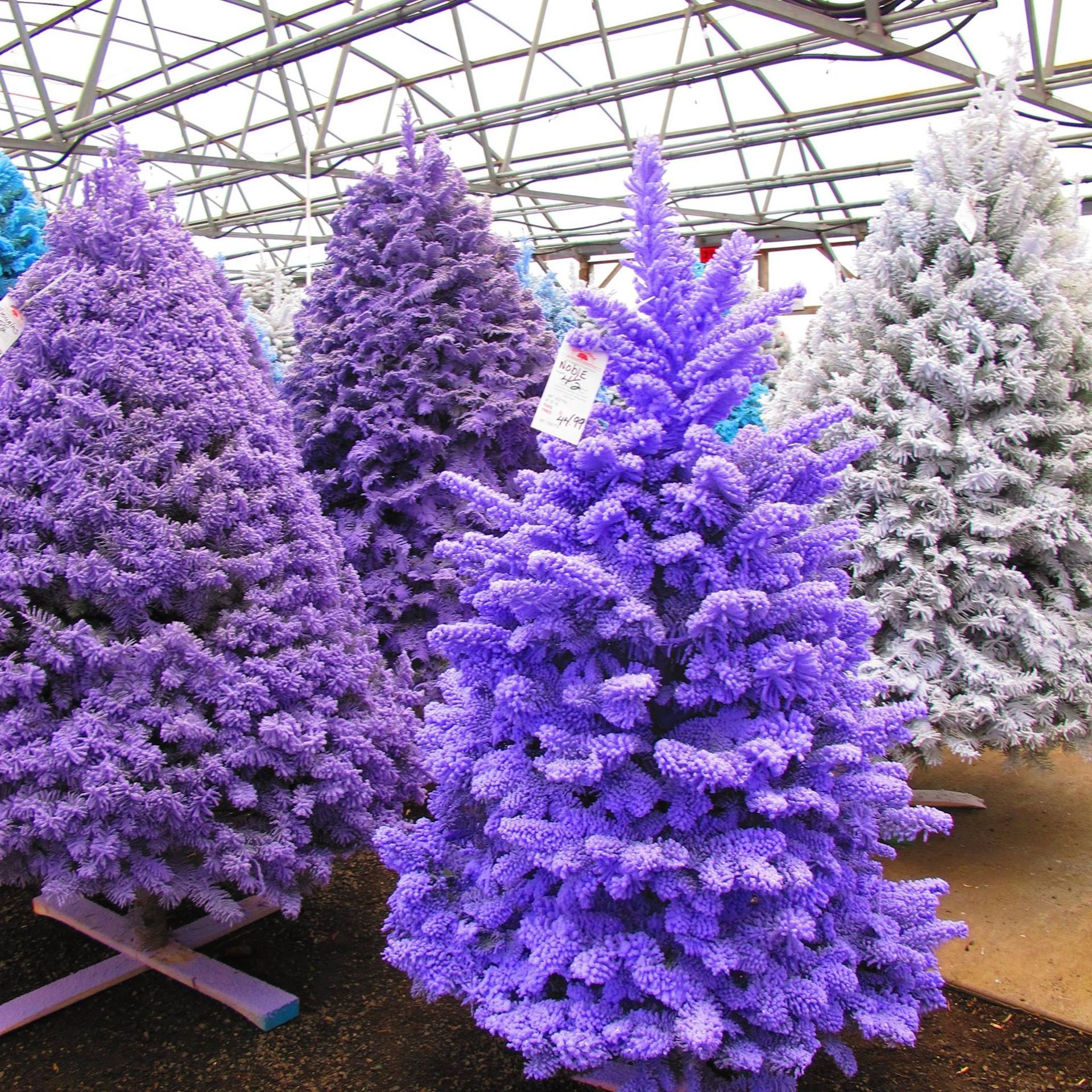 Floral Display Gresham, OR Deep Creek Garden Center