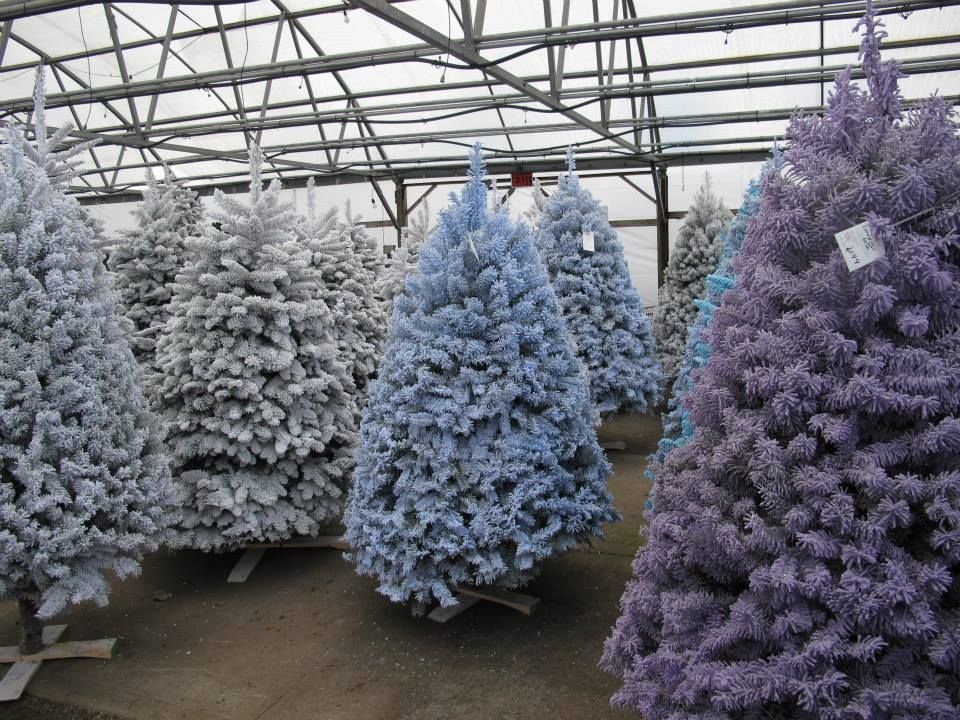 Floral Display Gresham, OR Deep Creek Garden Center