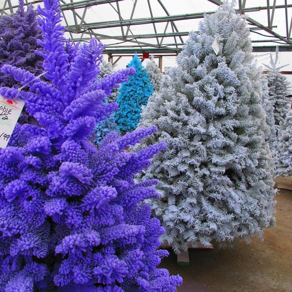 Floral Display Gresham, OR Deep Creek Garden Center