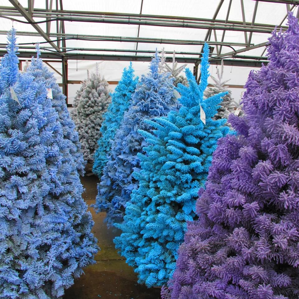 Floral Display Gresham, OR Deep Creek Garden Center
