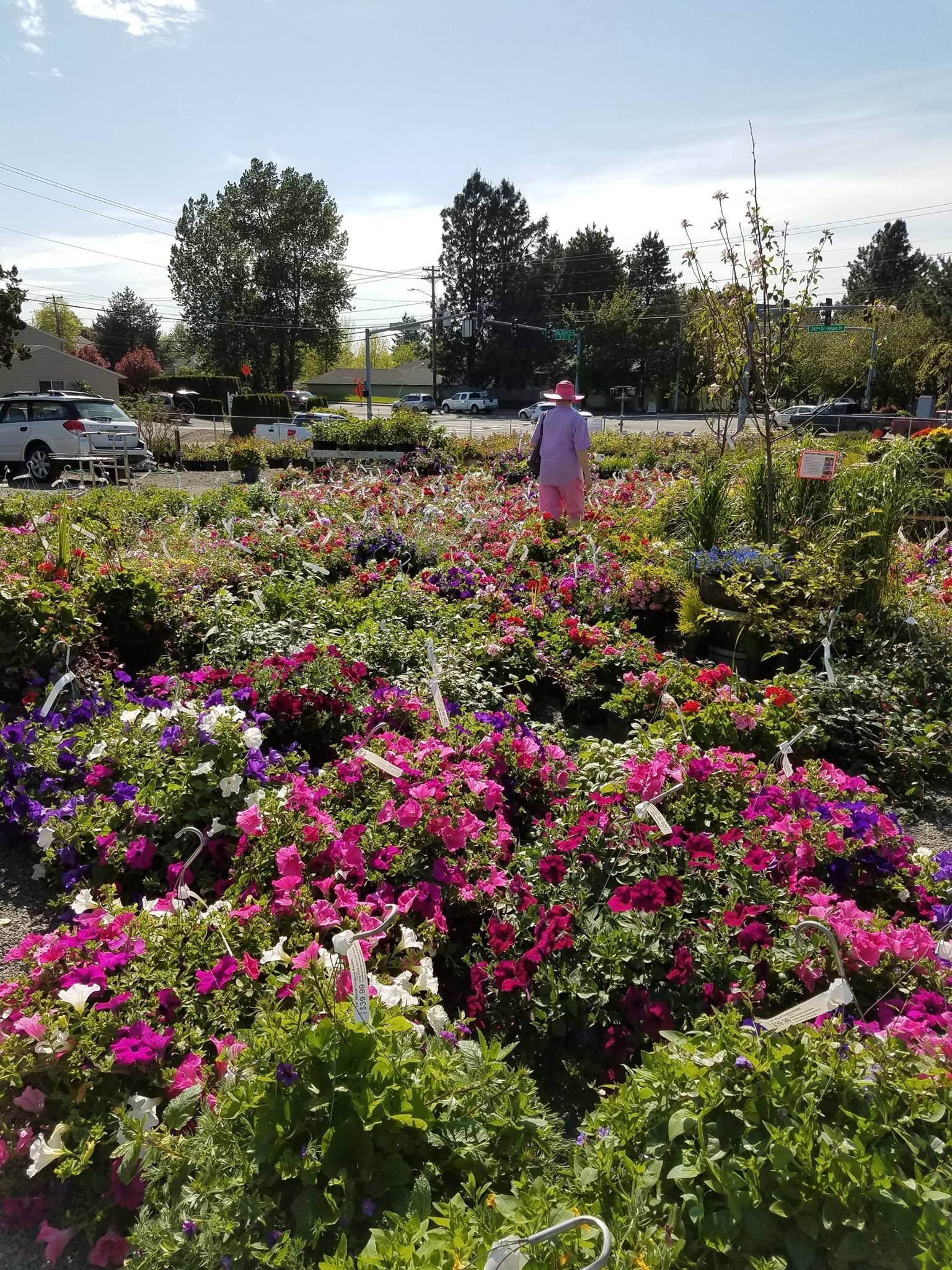 Different plants and flowers – Gresham, OR - Deep Creek Garden Center