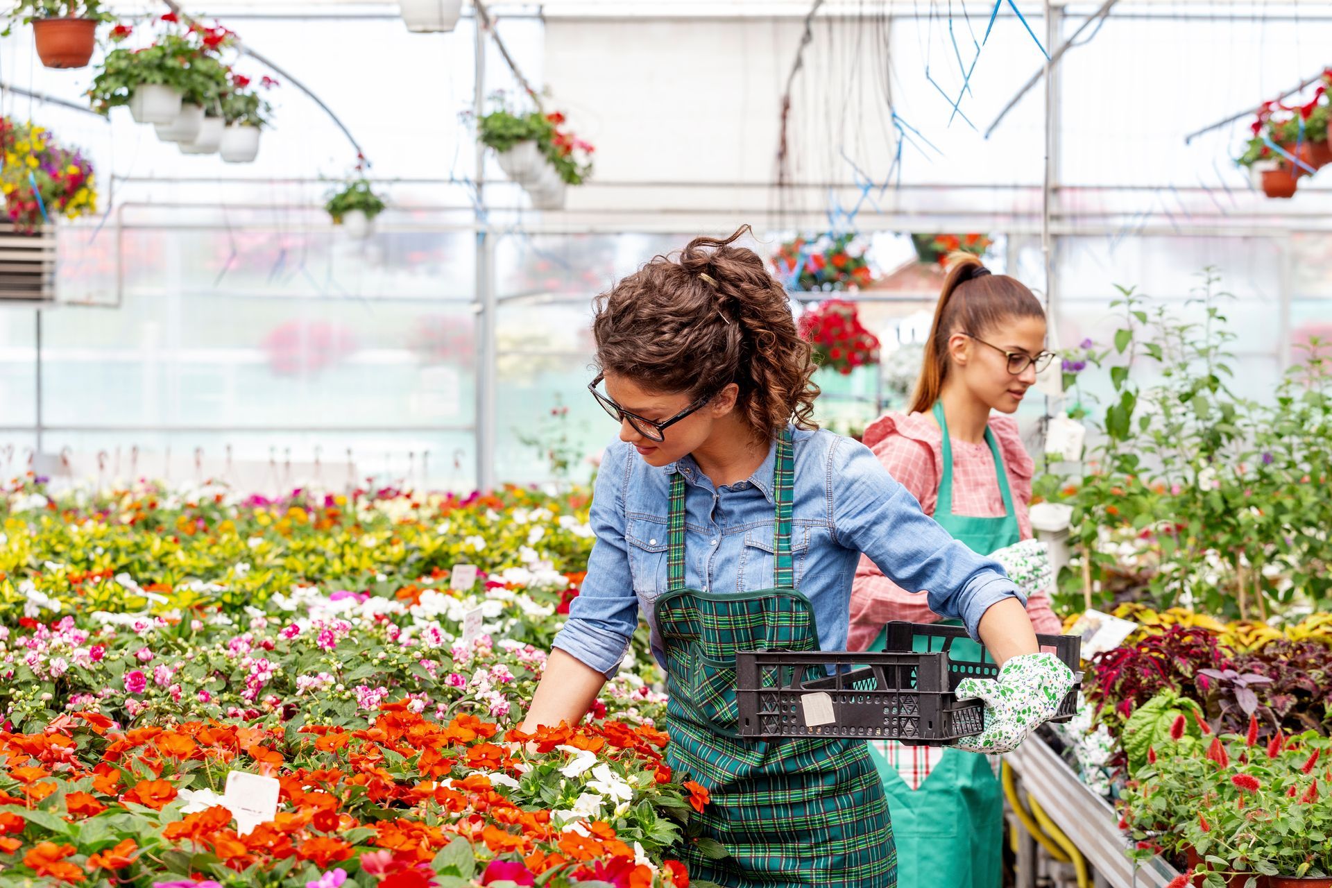 Two women work in a nursery plant with different types of flowers.