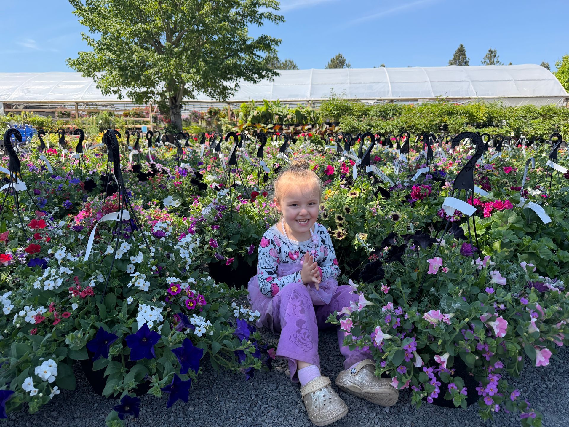 Child sitting in a colorful flower field under a bright blue sky with a greenhouse in the background Child sitting in a colorful flower field under a bright blue sky with a greenhouse in the background