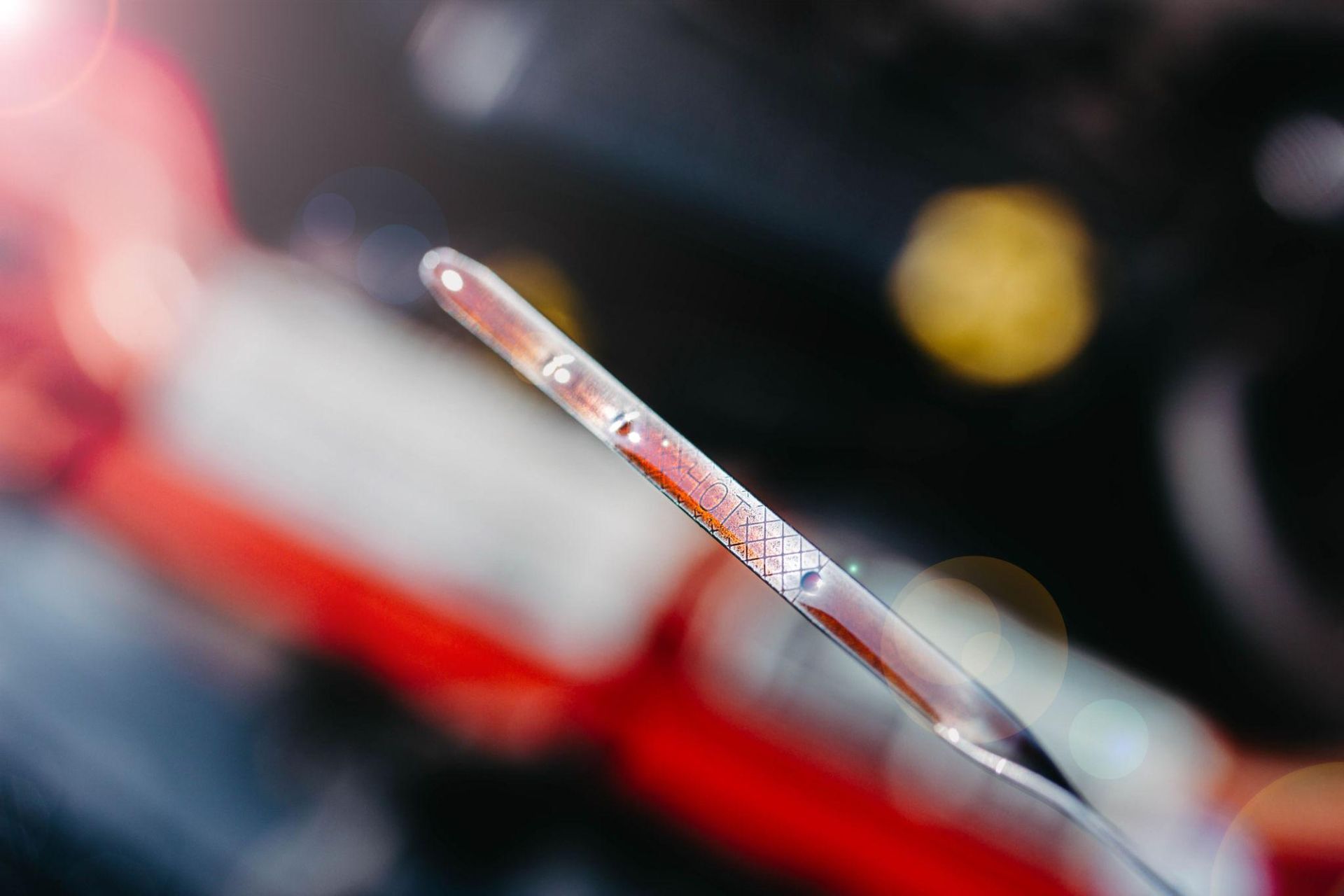 Checking transmission fluid level during gearbox service