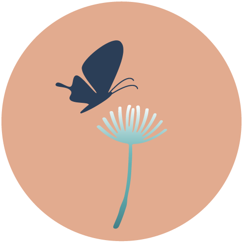 A butterfly is flying over a dandelion in a circle.