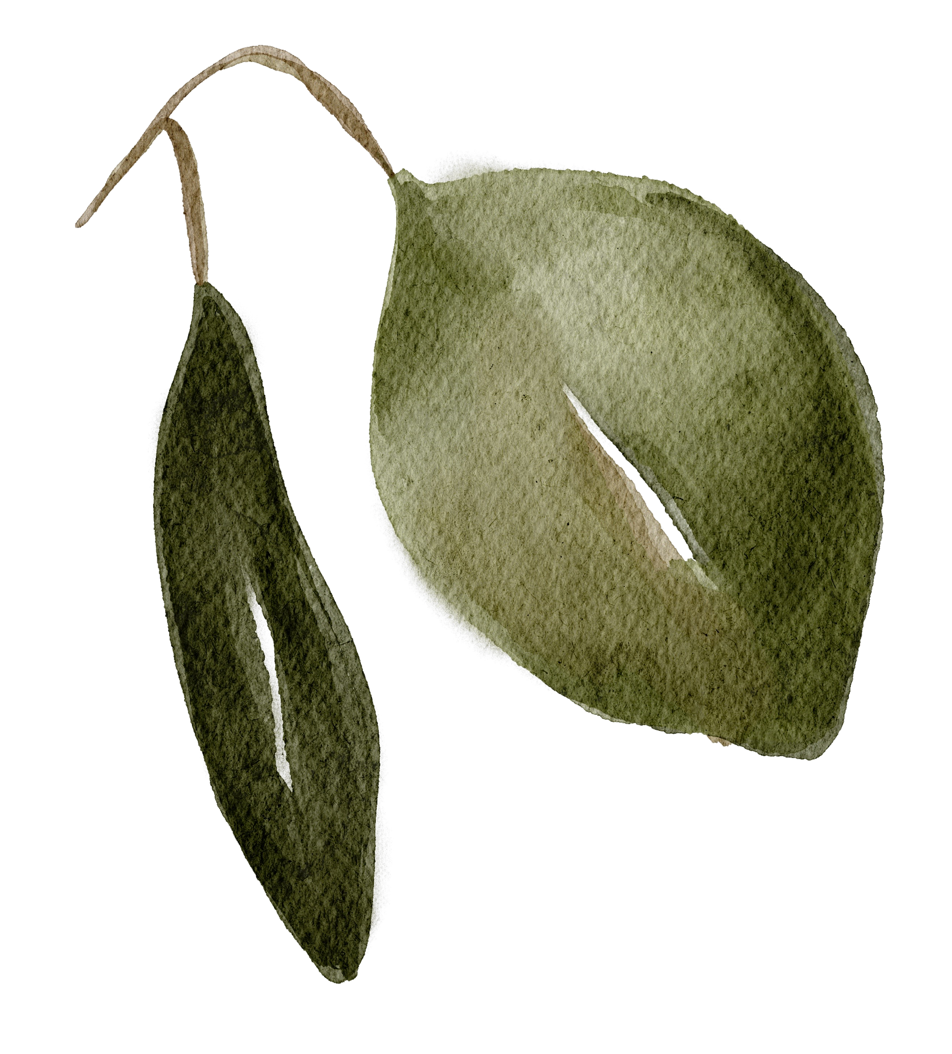 Red and pink striped bow with long, flowing tails.