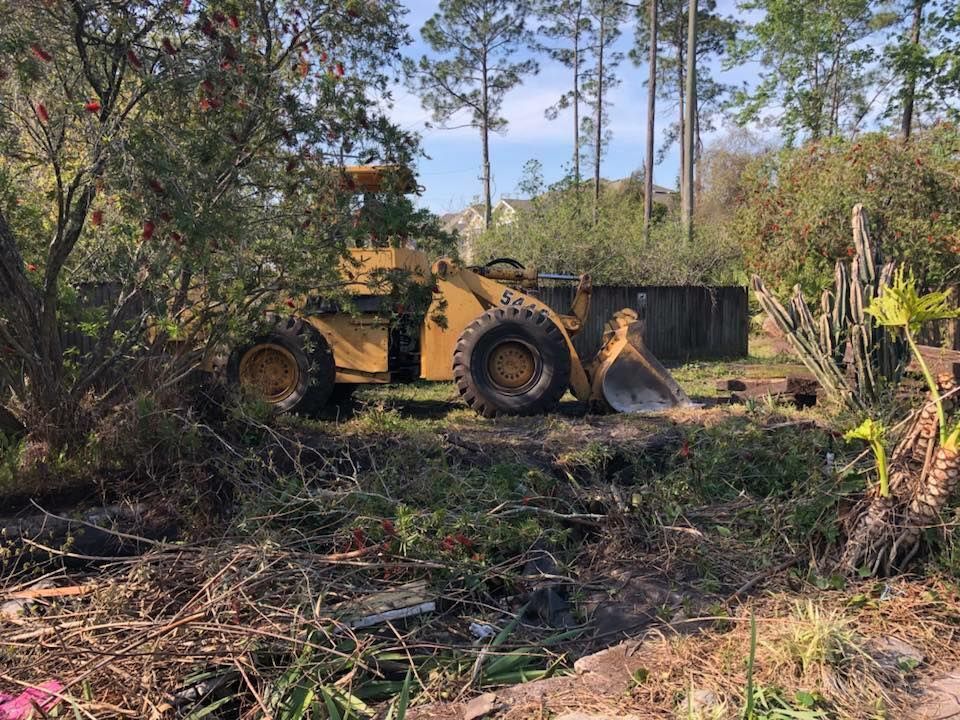 Yellow front-end loader surrounded by brush in a yard with trees and a wooden fence in the background.