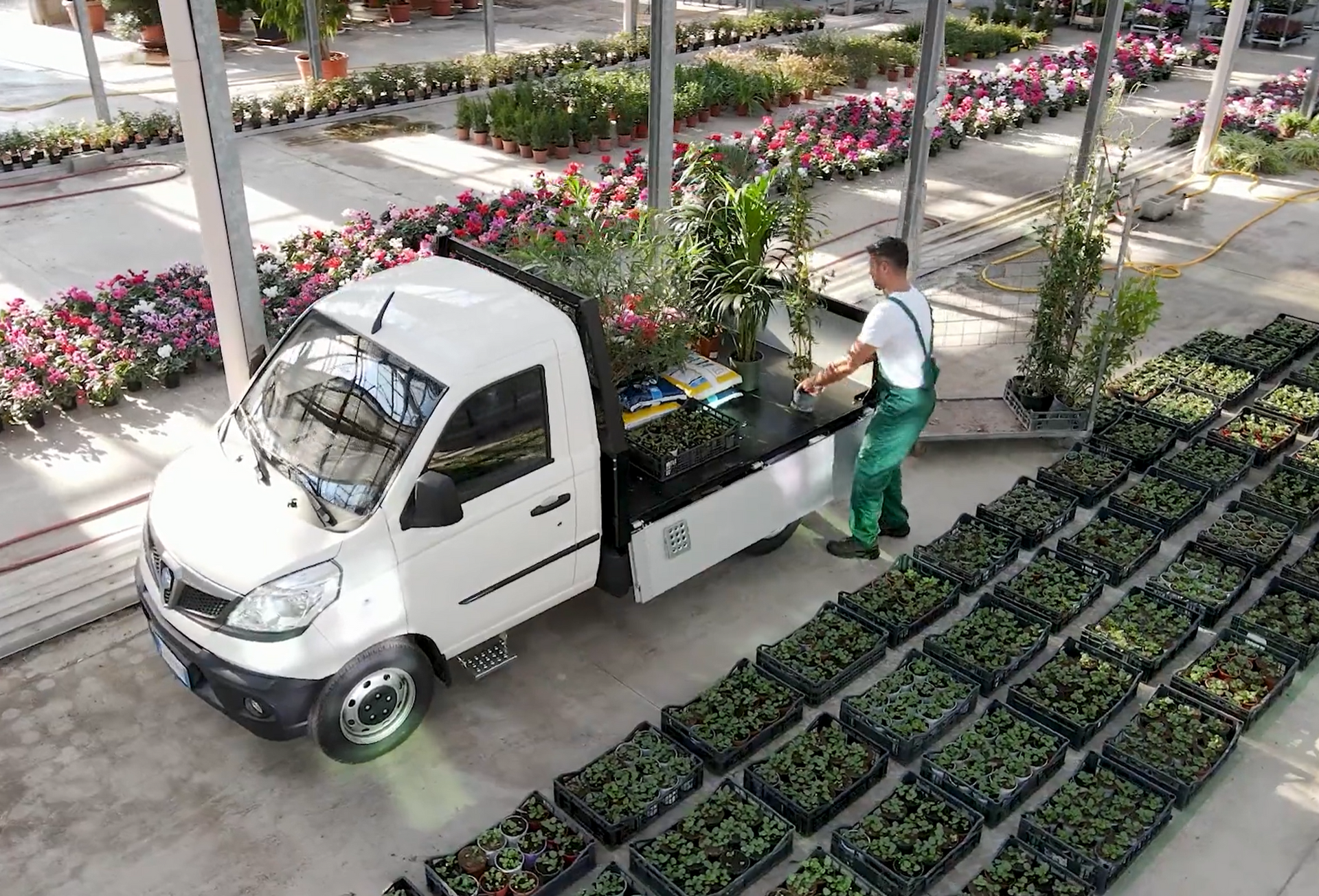 Un uomo sta caricando delle piante su un camion in una serra.