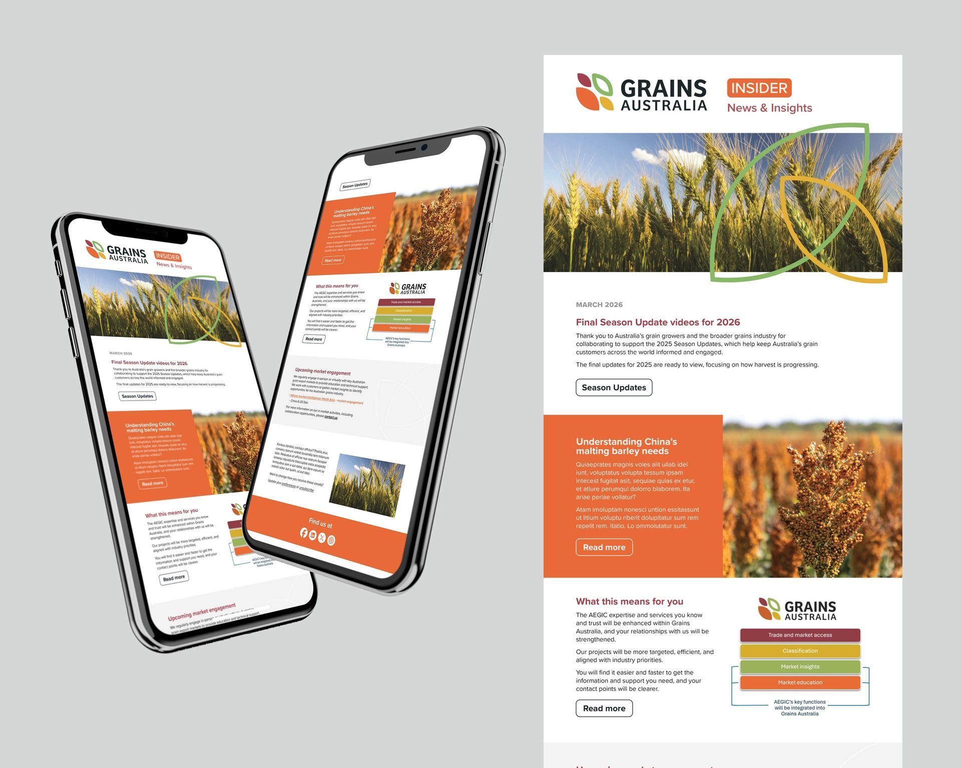 Two smartphones and a brochure showing a grains company website in orange and white, with crop photos and branding