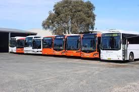 Dwyer is calling on the Minns Labor Government to urgently deliver improved bus services