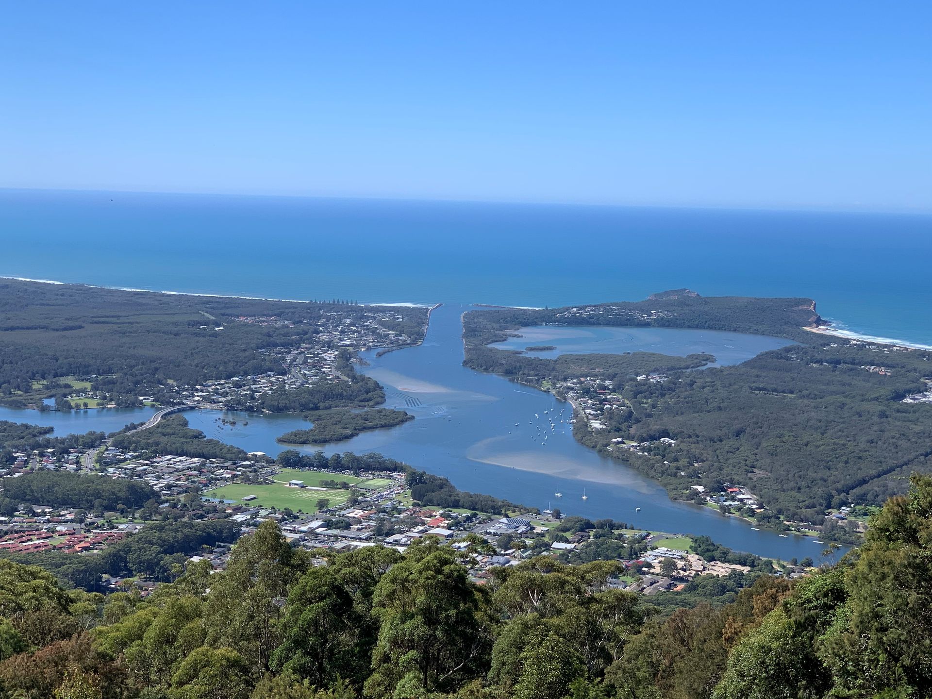 Our Port Macquarie Electorate