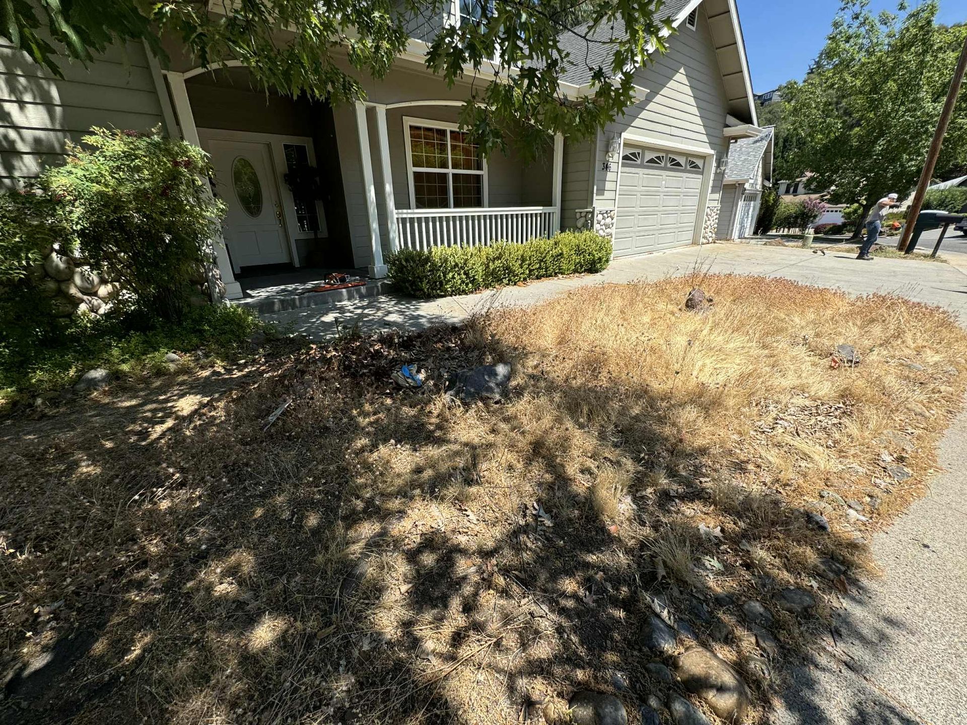 Dry, overgrown grass in front of a house with a gray exterior.