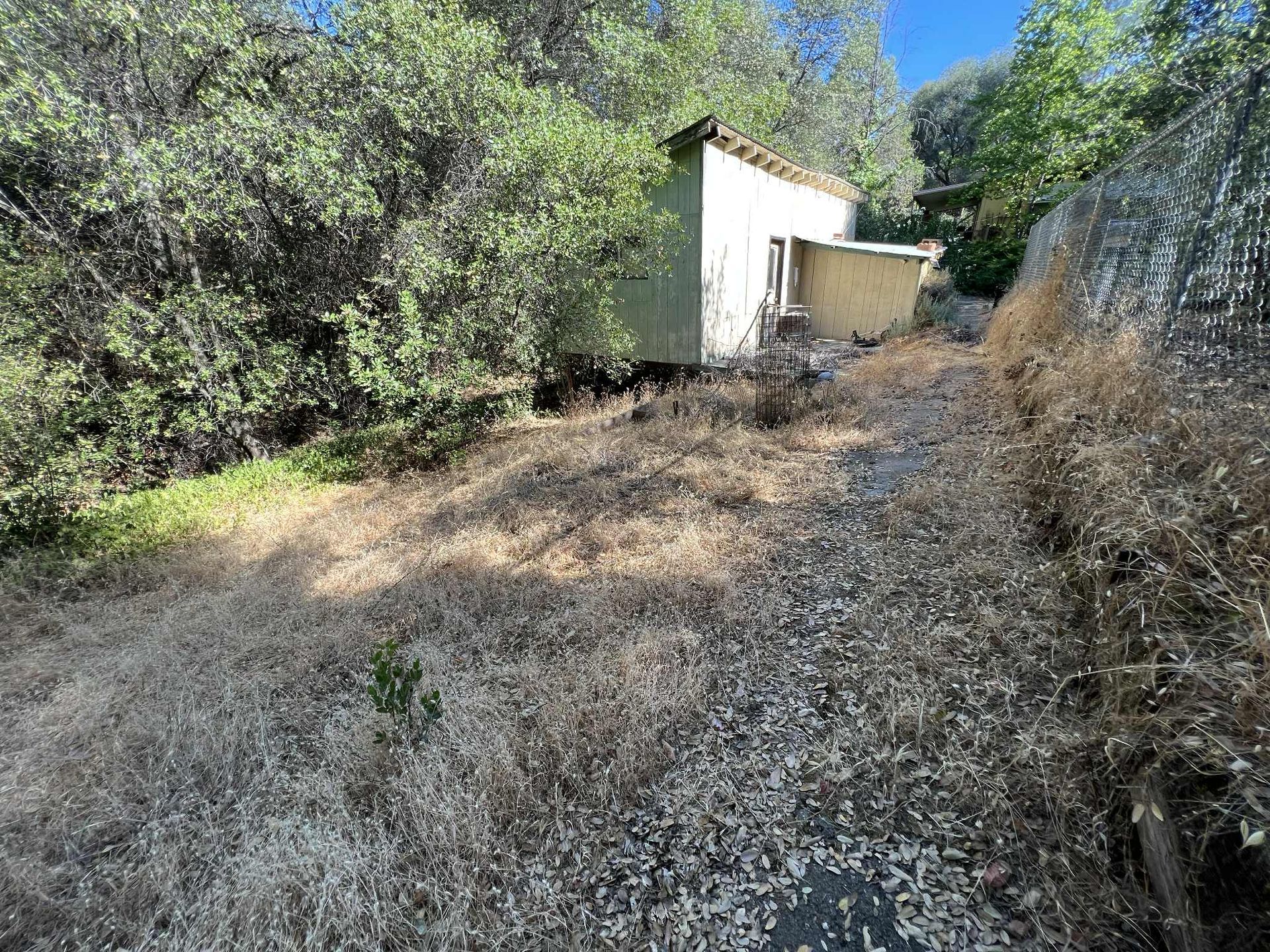 A small white building partially obscured by trees; overgrown dry grass in the foreground.