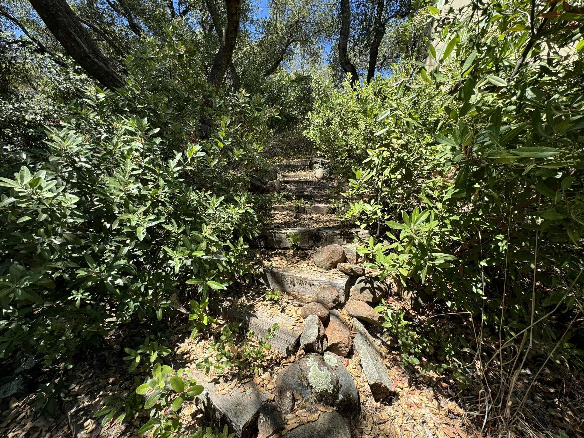 Stone steps ascend through lush green bushes and trees under a clear sky.