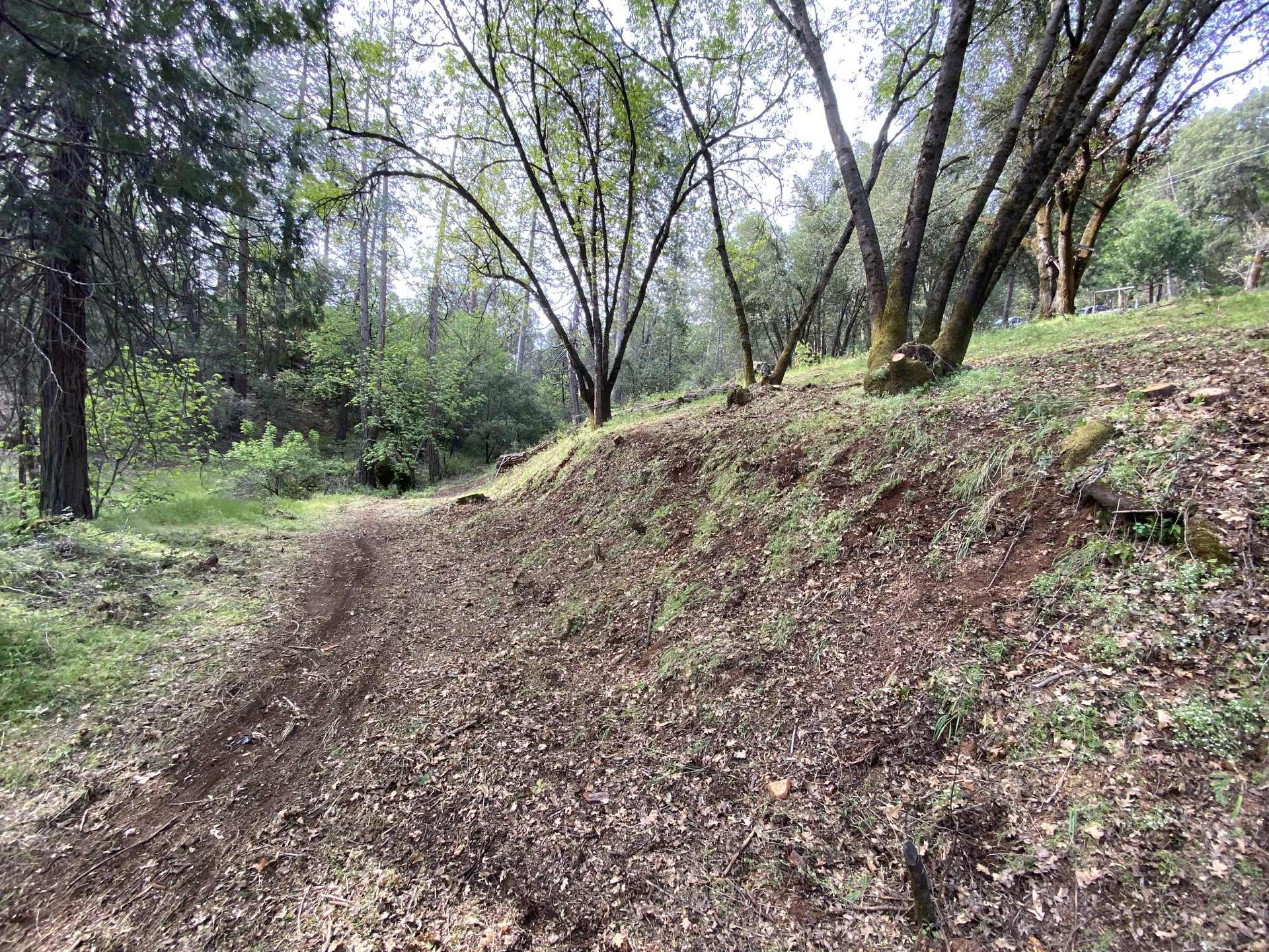 Dirt path through a wooded area, with trees and brown foliage.