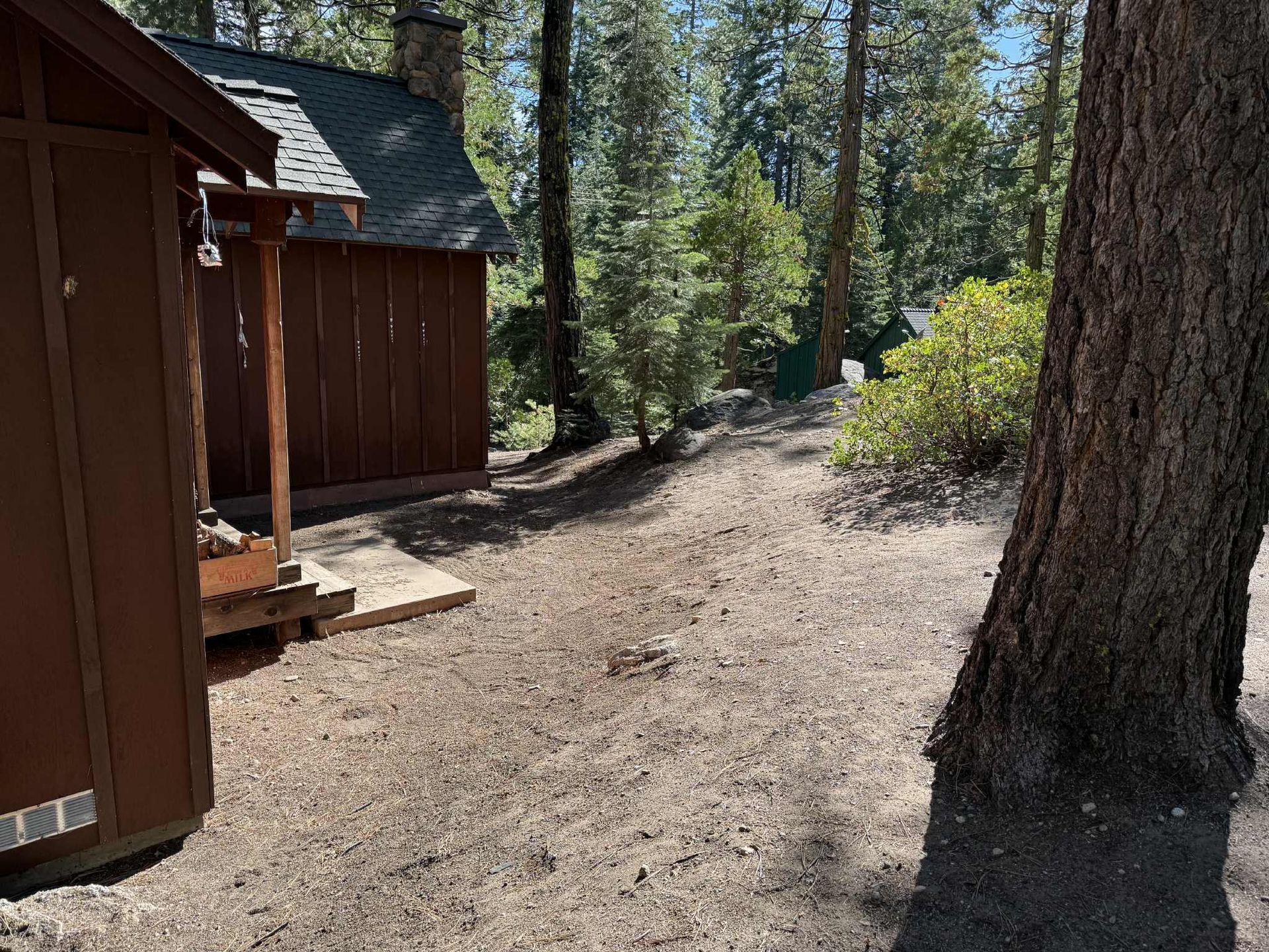 Cabin exterior in a forest. Brown buildings, dirt path, tall trees, sunny day.