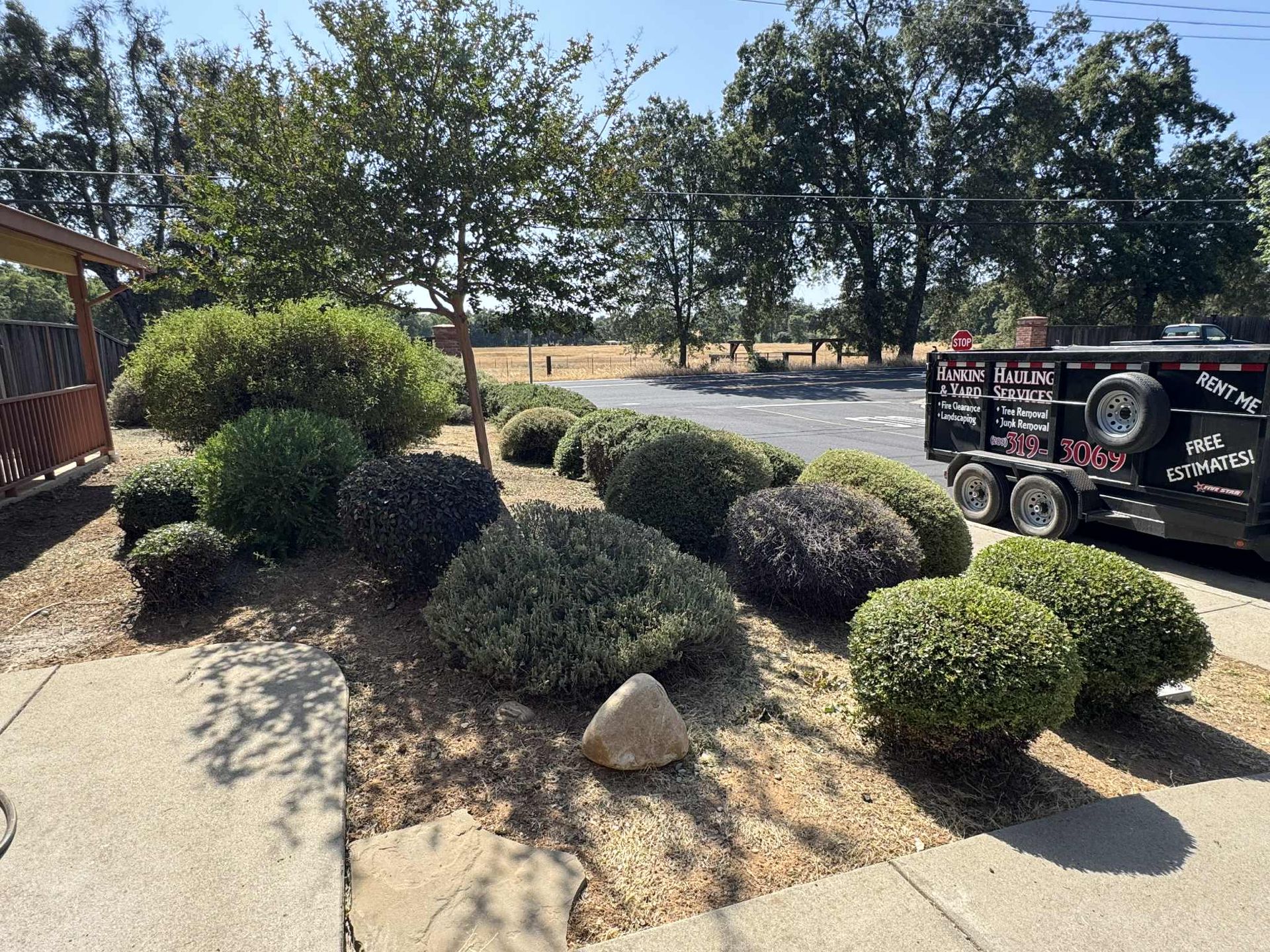 Rounded green bushes line a sandy landscaped area next to a sidewalk. A trailer is parked in the background.