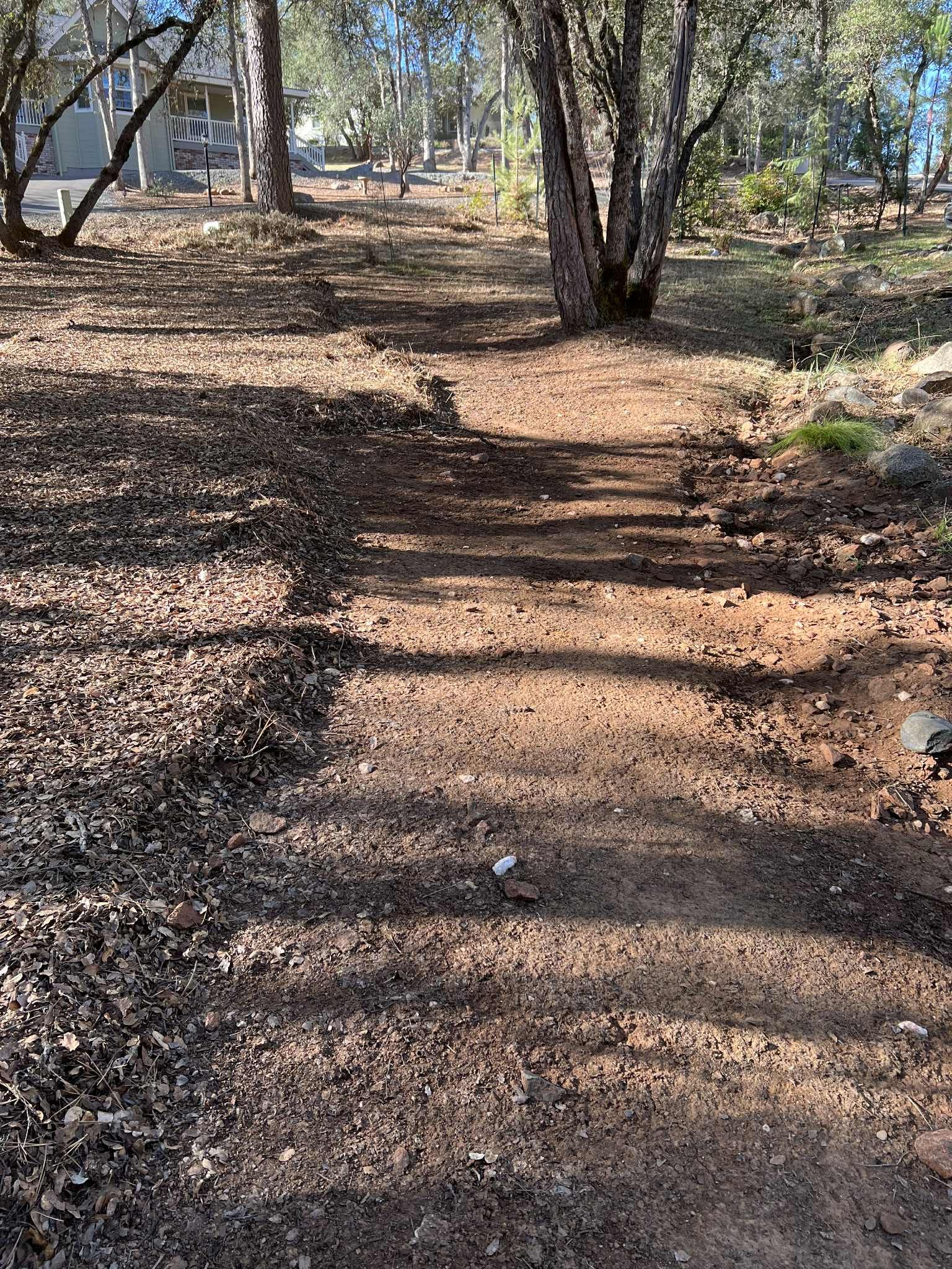 Dirt path through a wooded area, dappled sunlight, dry leaves, and trees.