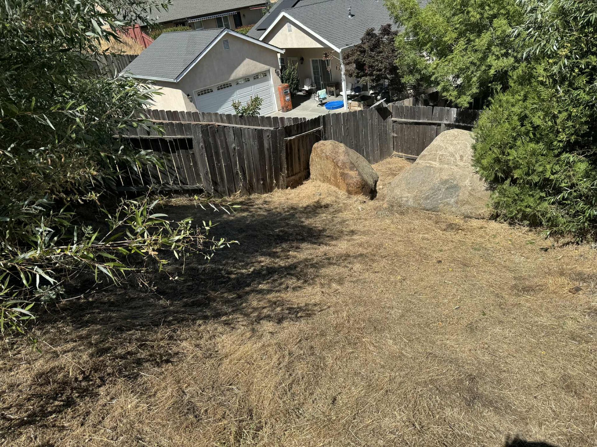 Backyard with a wooden fence, large rocks, and dry, brown grass. Houses are visible in the background.