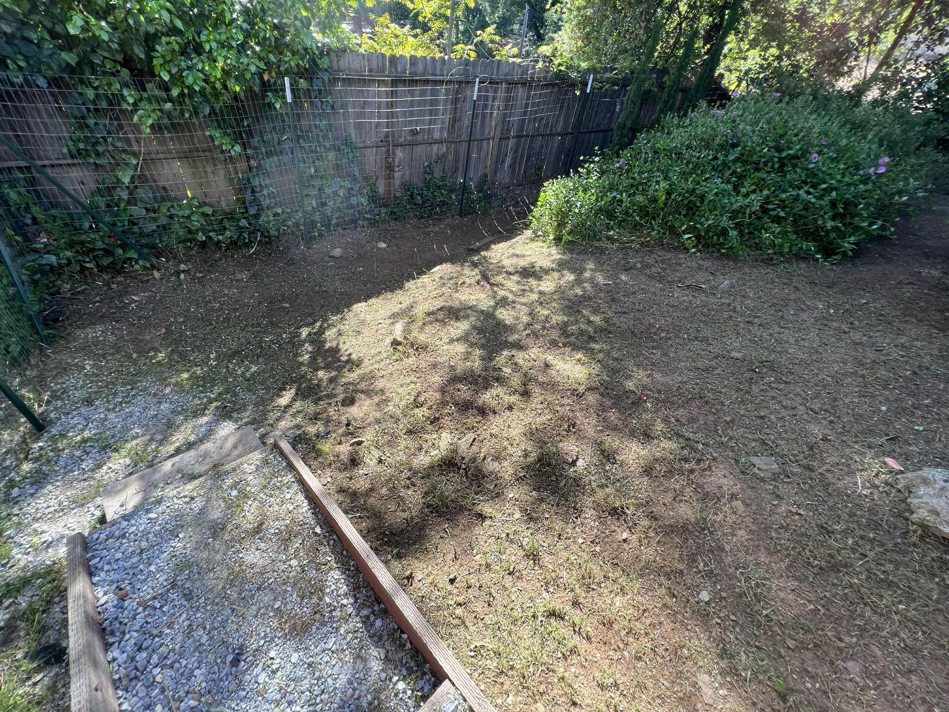 A backyard with a fence, gravel steps, bare ground, and some bushes in sunlight.