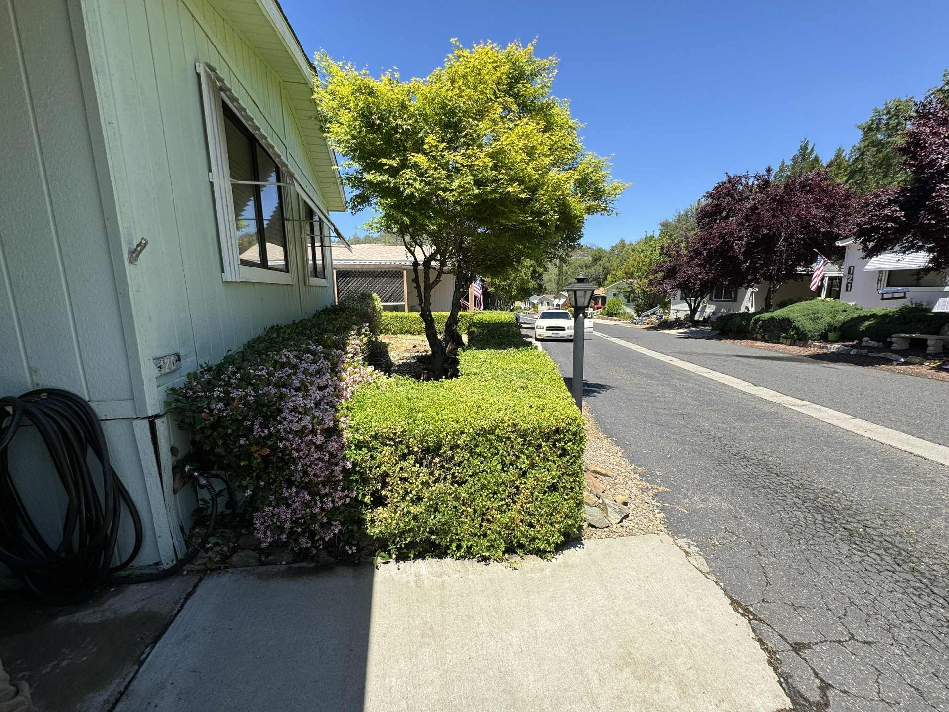 Sidewalk alongside a building and road, with trimmed bushes, a small tree, and houses under a blue sky.