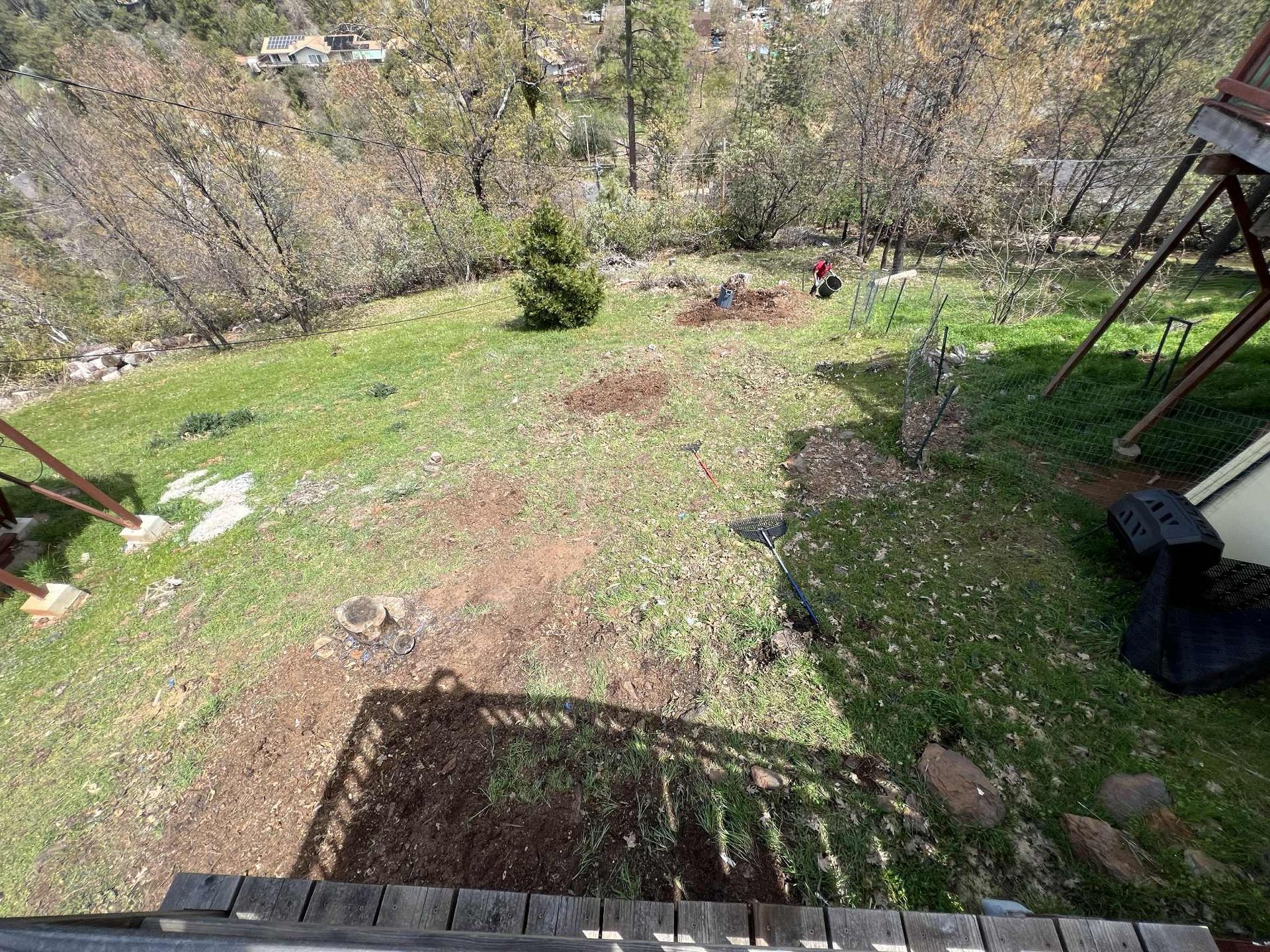 Grassy backyard with patches of dirt and a small evergreen tree. Person in distance.