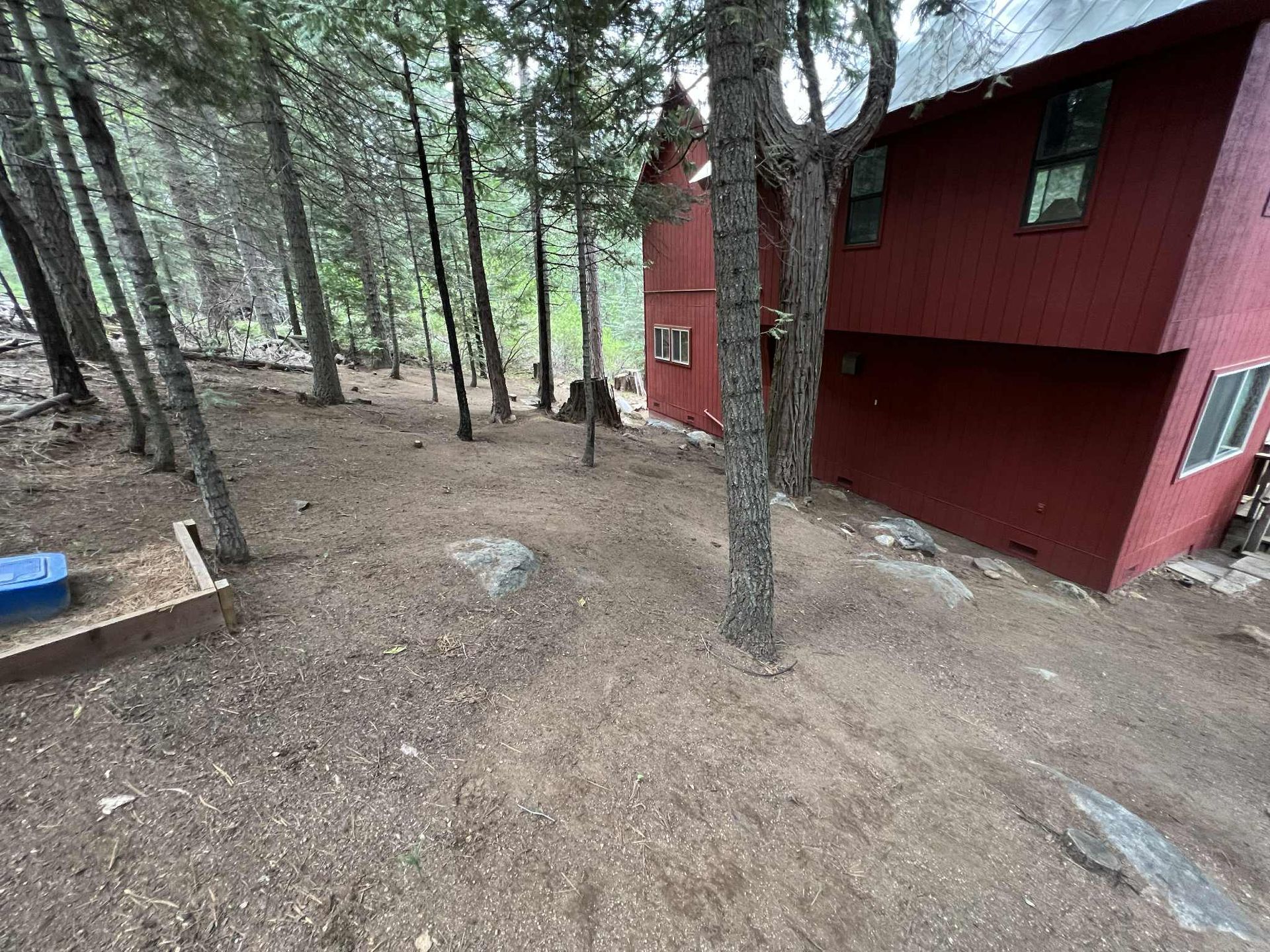 A red cabin in a forest clearing. The ground is covered in pine needles, and trees surround the building.