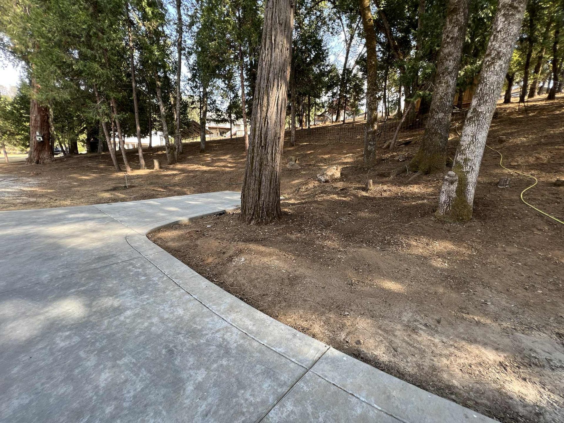 Paved path curves beside dirt and trees in a sunny outdoor area.