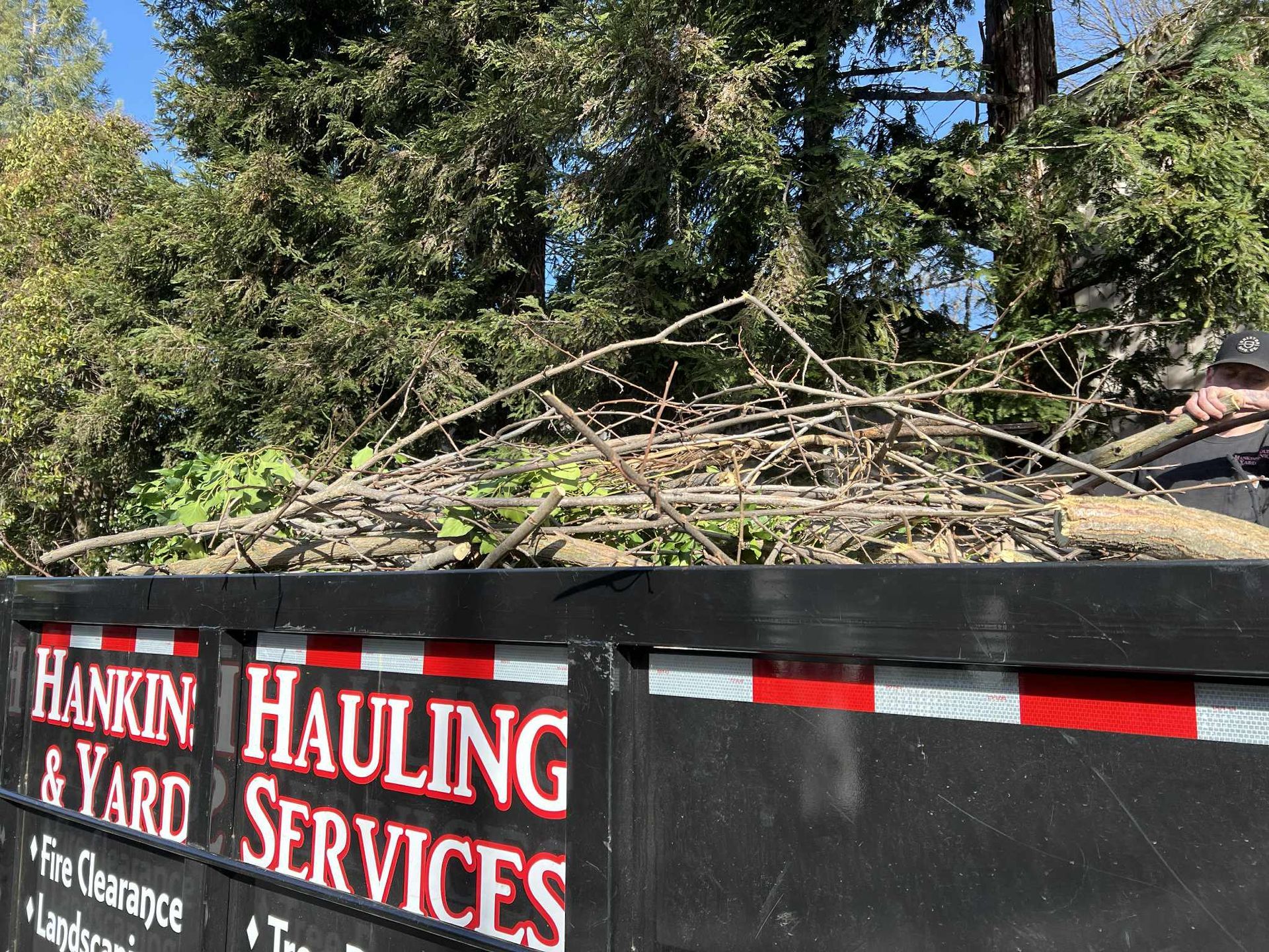 Black dumpster filled with tree branches; Hankin Hauling Services logo visible.