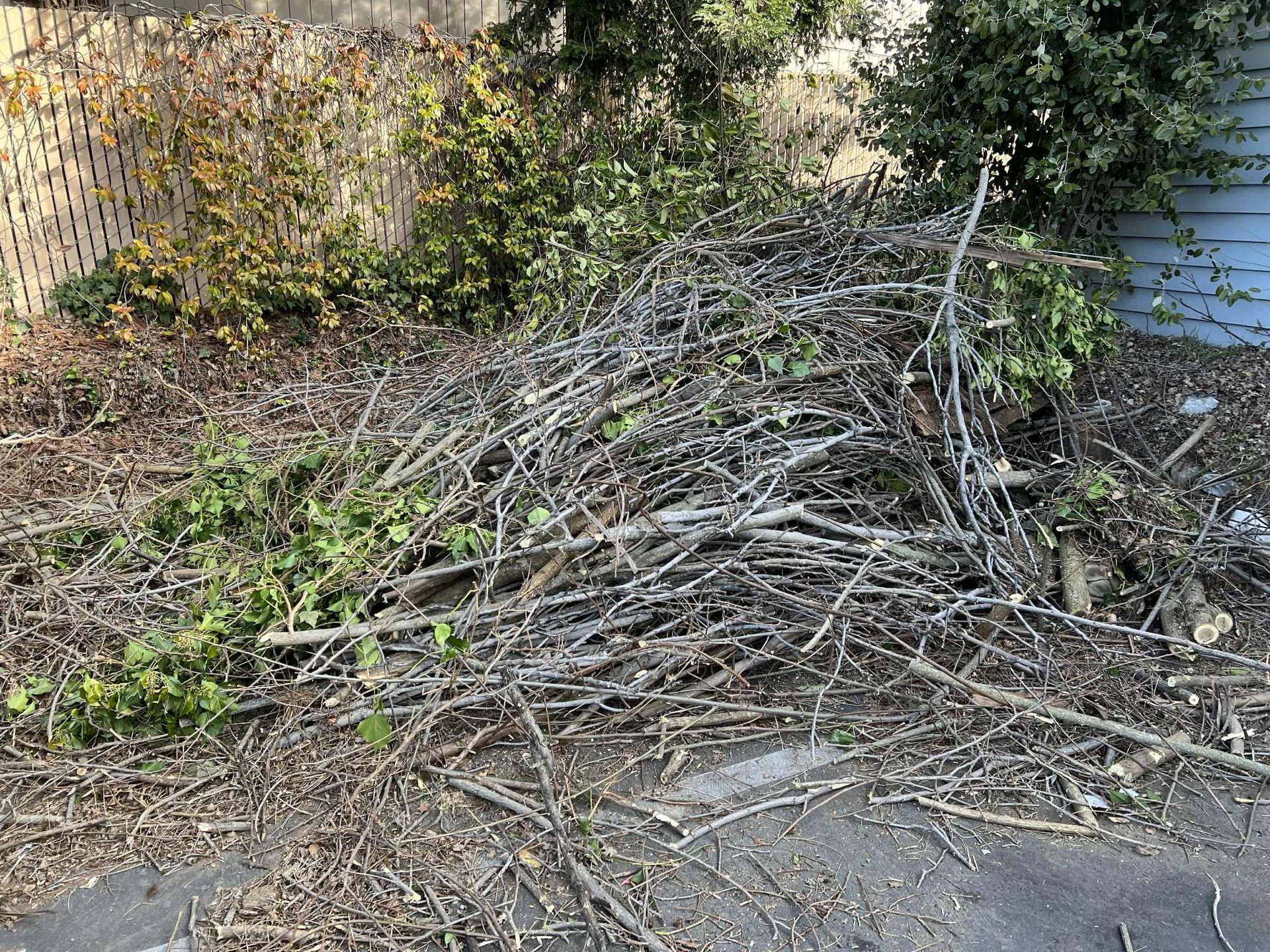 Pile of pruned tree branches and twigs on a paved surface, next to a fence and greenery.