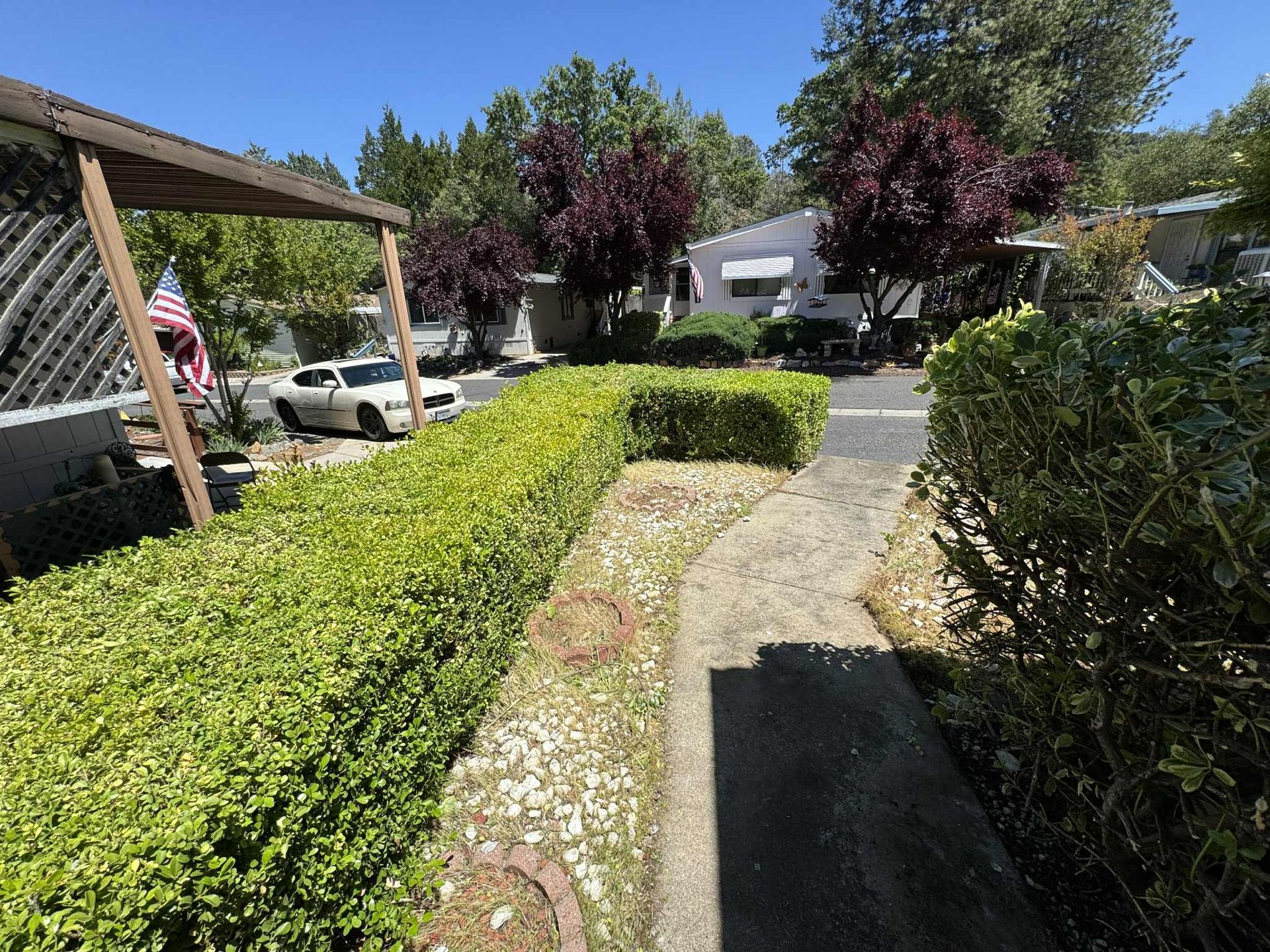 Green hedge-lined walkway leads toward a street with cars and houses on a sunny day.