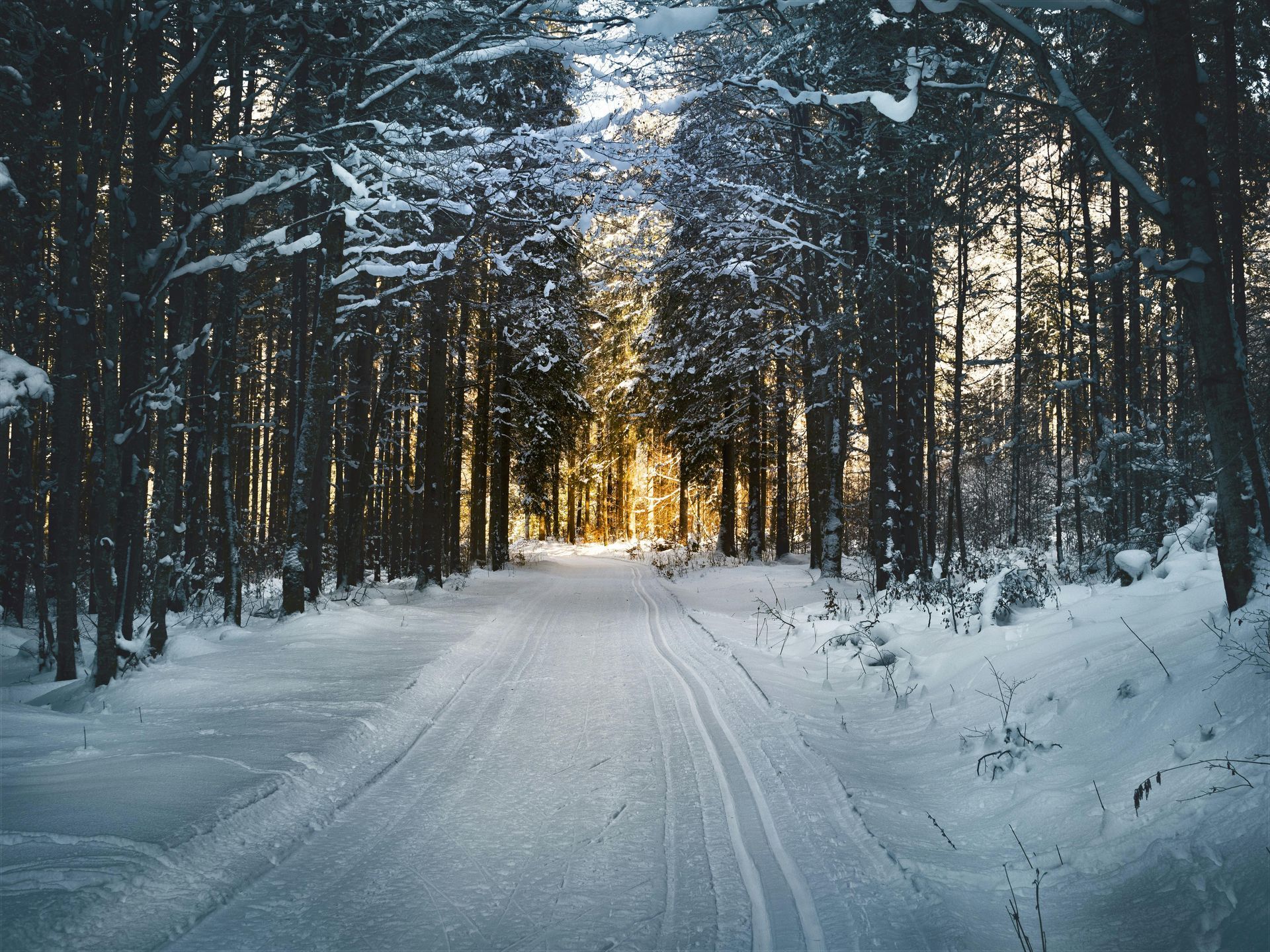 Snowy forest path leading toward sunlight.