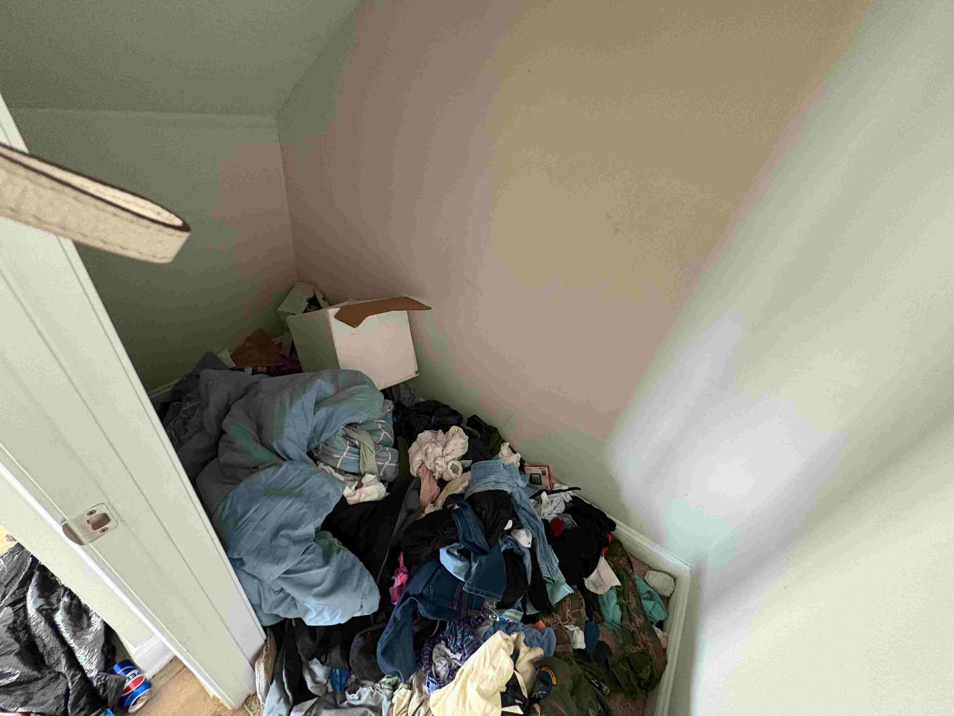 Messy closet with clothes and a box piled on the floor. White door partially open, walls are shades of pink and green.