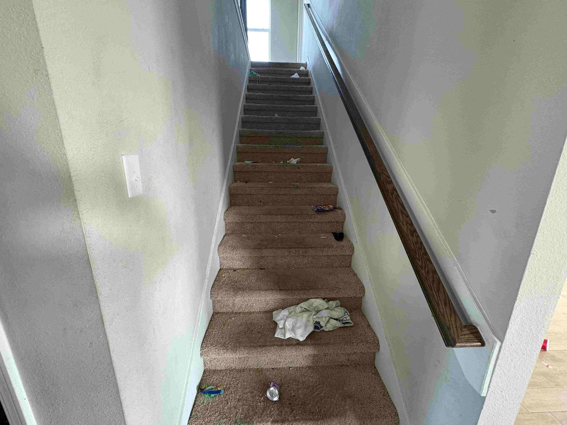 Narrow, dirty staircase with brown carpet and white walls. Handrail on the right. Debris on stairs.