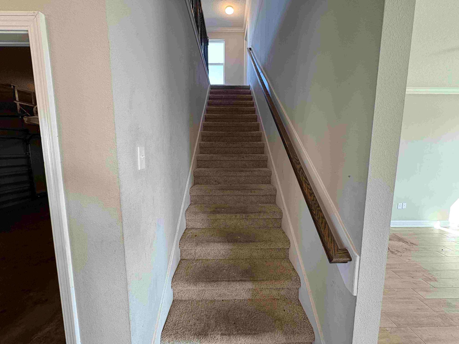 Stairway with carpeted steps and wooden handrail, leading up to a hallway with a window.
