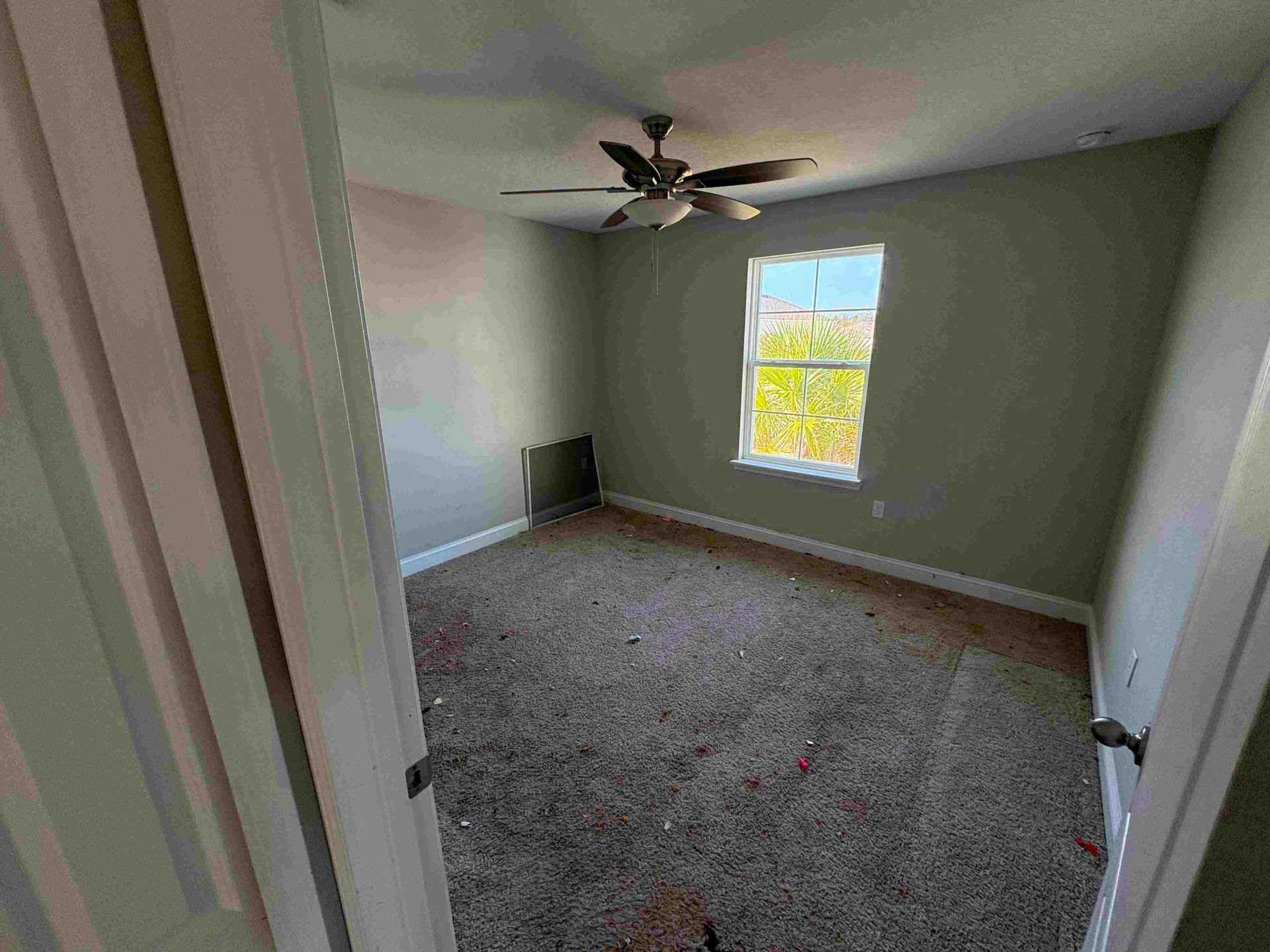 Empty bedroom with olive green walls, dirty carpet, ceiling fan, and a window.