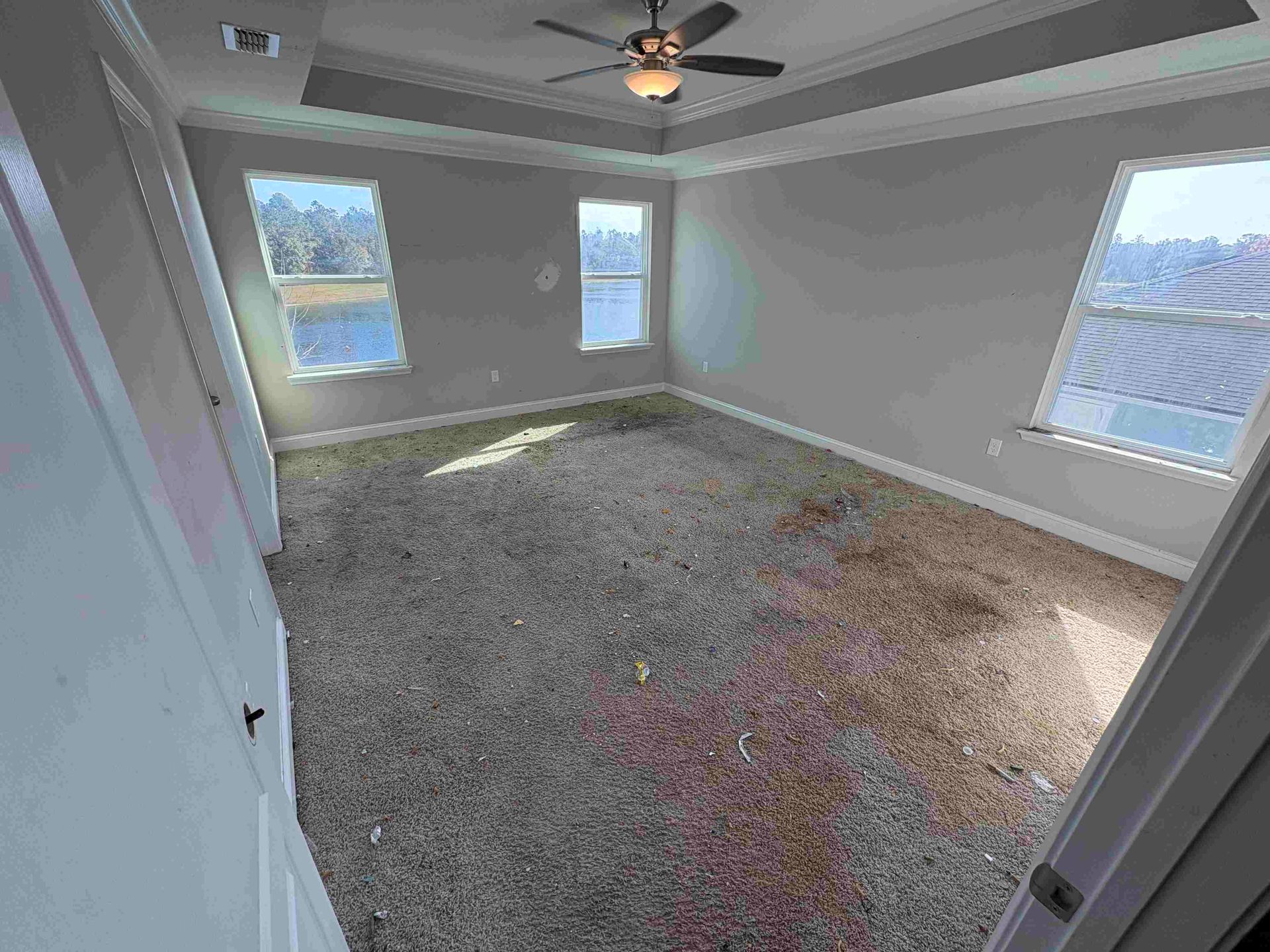 Empty bedroom with carpet, three windows, ceiling fan, and gray walls.