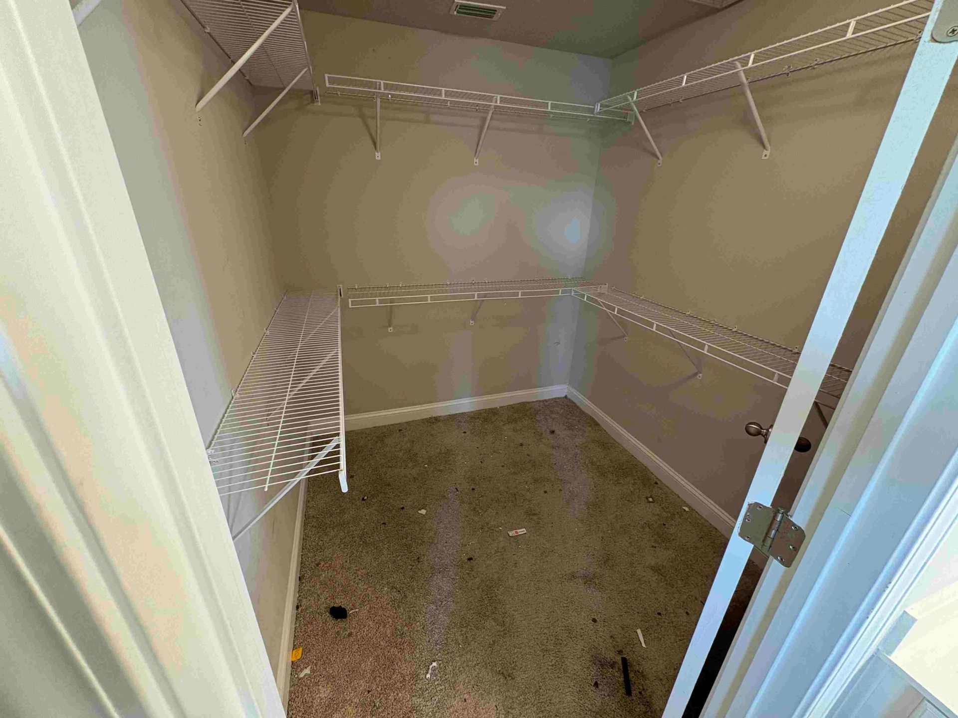 Empty walk-in closet with wire shelves and a dirty carpet.