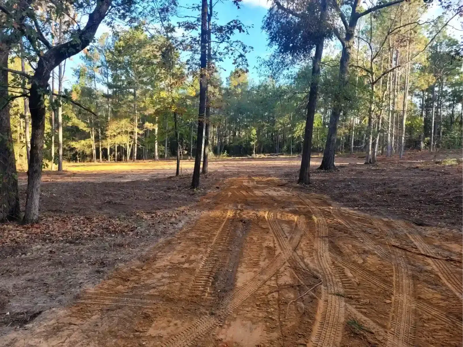 A yellow excavator parked on a dirt path next to a line of green trees under a clear blue sky.