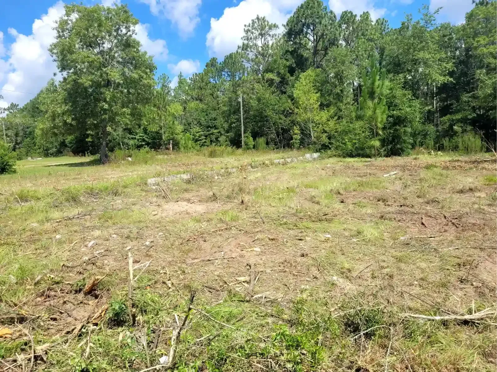A recently cleared, grassy field sits in the foreground with a dense forest of green trees under a blue, cloudy sky.