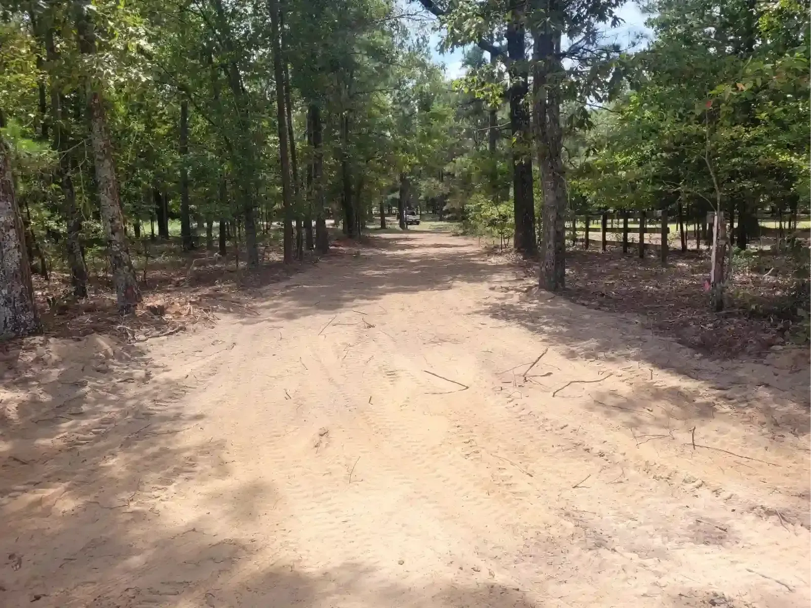 A dirt trail cuts through a wooded area with trees lining both sides under a sunny, clear sky.