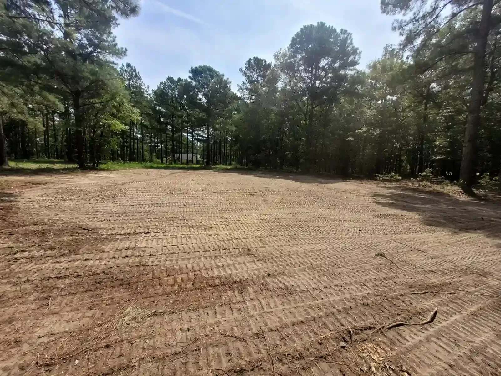A cleared, flat patch of dirt surrounded by a dense forest under a bright, sunny sky.