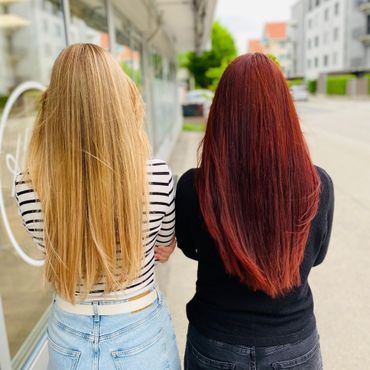 Premium Paket Bern
