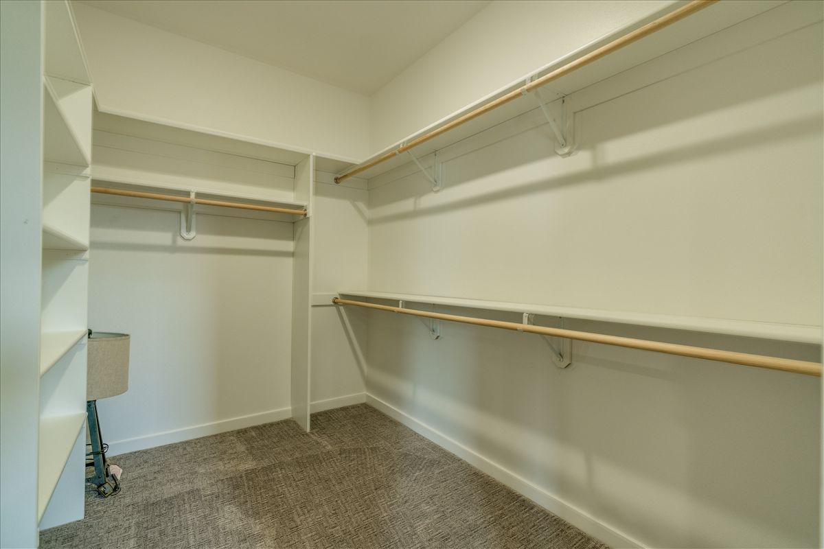 Empty walk-in closet with beige carpet, white walls, and built-in white shelving and clothing rods.