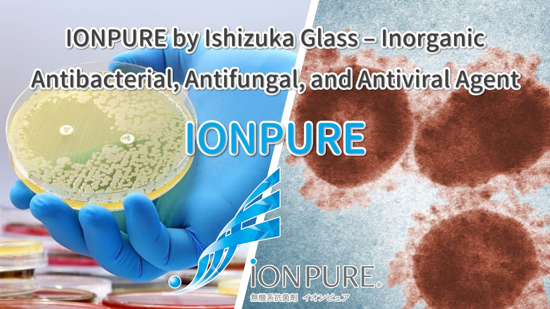 Ishizuka Glass | Ishizuka Glass antimicrobial agent | Inorganic antimicrobial agent | Silver ion antimicrobial agent | Zinc oxide antimicrobial agent | Nano silver antimicrobial agent | Nano zinc antimicrobial agent | Zinc ion antimicrobial agent | Nano copper antimicrobial agent | Copper ion antimicrobial agent | Formaldehyde remover | Anti-mite agent