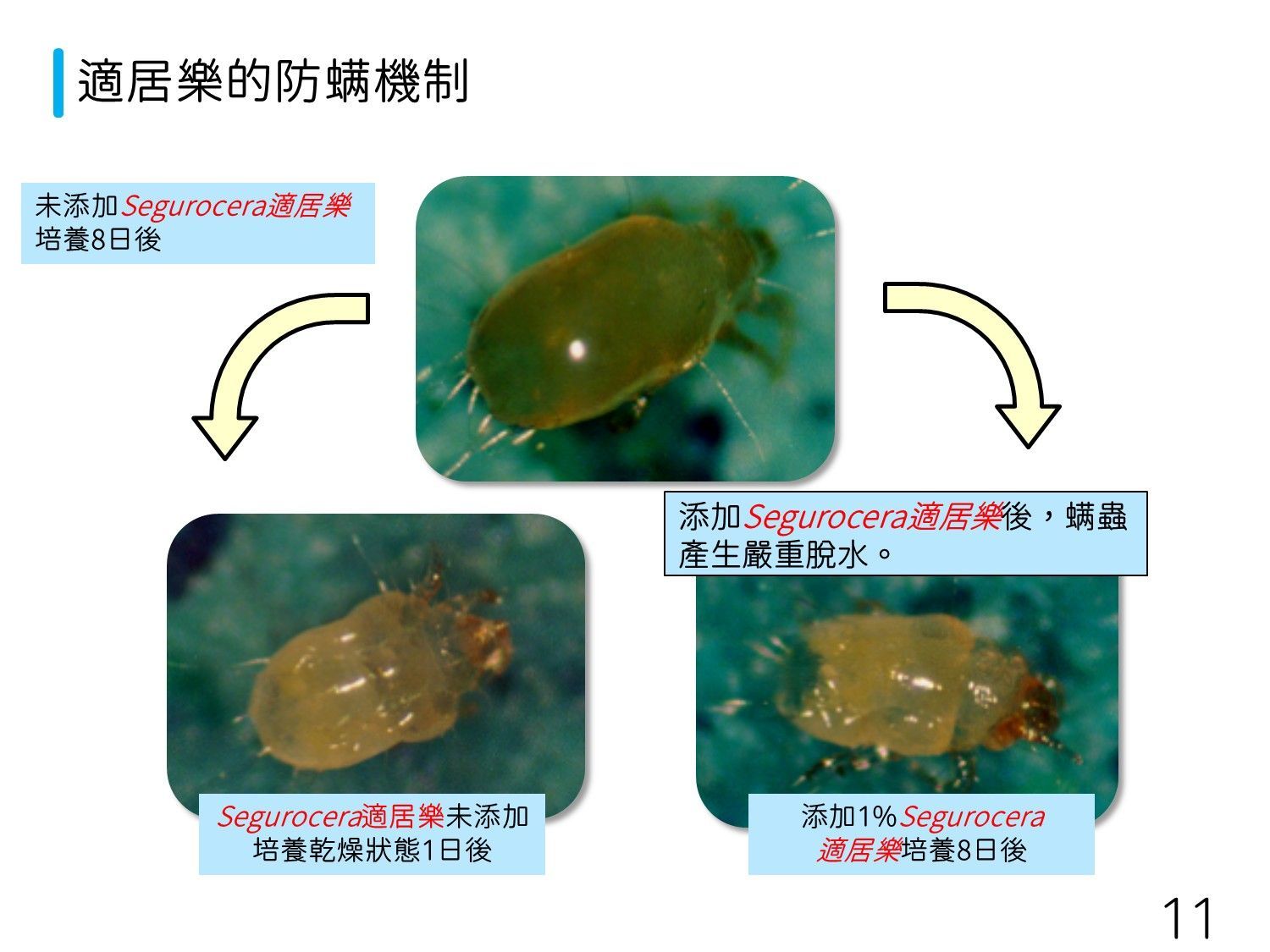 石塚硝子 | 石塚硝子抗菌劑 | 無機抗菌劑 | 氧化鋅抗菌劑 | 銀離子抗菌劑 | 奈米銀抗菌劑 | 奈米鋅抗菌劑 | 鋅離子抗菌劑 | 奈米銅抗菌劑 | 銅離子抗菌劑 | 除甲醛劑 | 防螨劑
