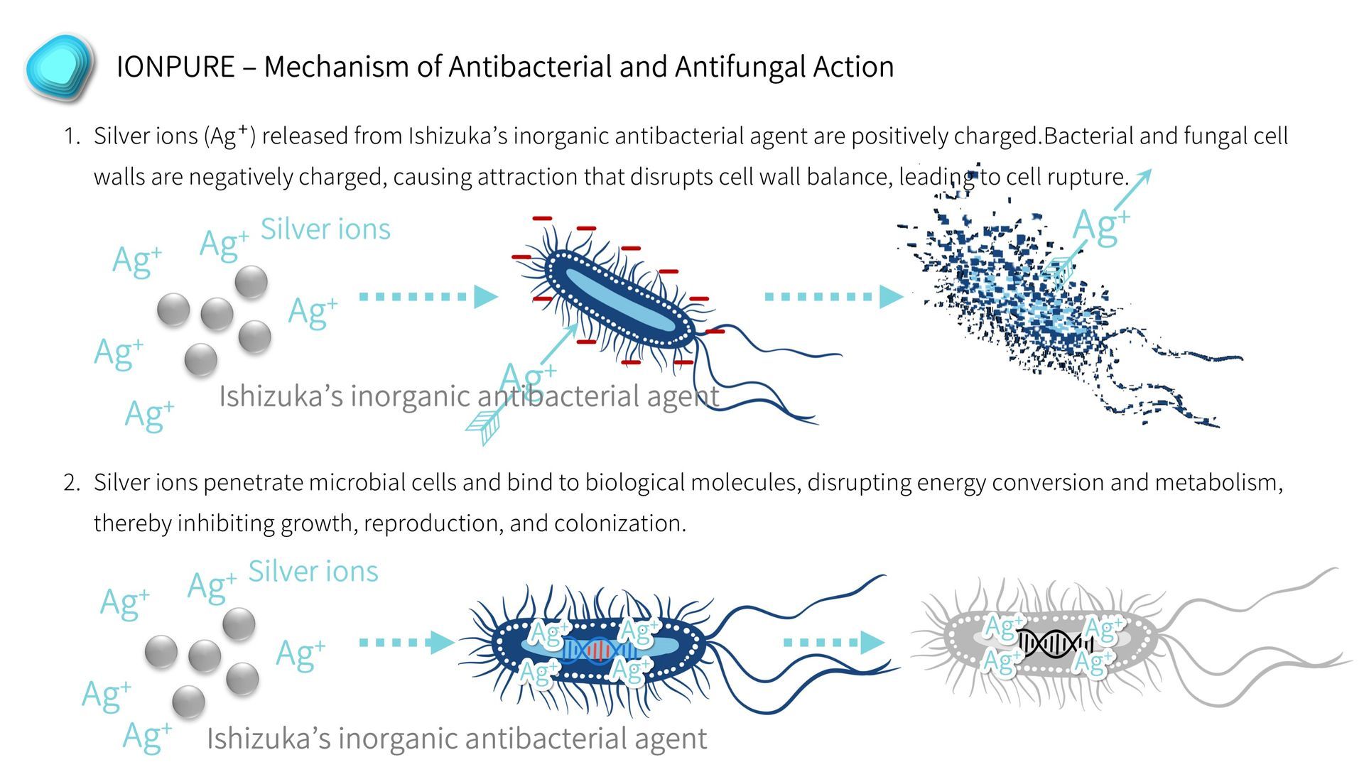 Ishizuka Glass | Ishizuka Glass antimicrobial agent | Inorganic antimicrobial agent | Silver ion antimicrobial agent | Zinc oxide antimicrobial agent | Nano silver antimicrobial agent | Nano zinc antimicrobial agent | Zinc ion antimicrobial agent | Nano copper antimicrobial agent | Copper ion antimicrobial agent | Formaldehyde remover | Anti-mite agent