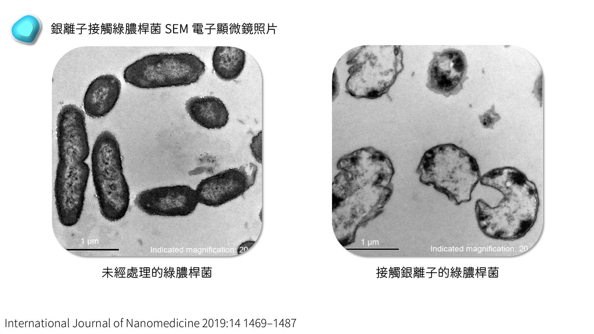 石塚硝子 | 石塚硝子抗菌劑 | 無機抗菌劑 | 氧化鋅抗菌劑 | 銀離子抗菌劑 | 奈米銀抗菌劑 | 奈米鋅抗菌劑 | 鋅離子抗菌劑 | 奈米銅抗菌劑 | 銅離子抗菌劑 | 除甲醛劑 | 防螨劑