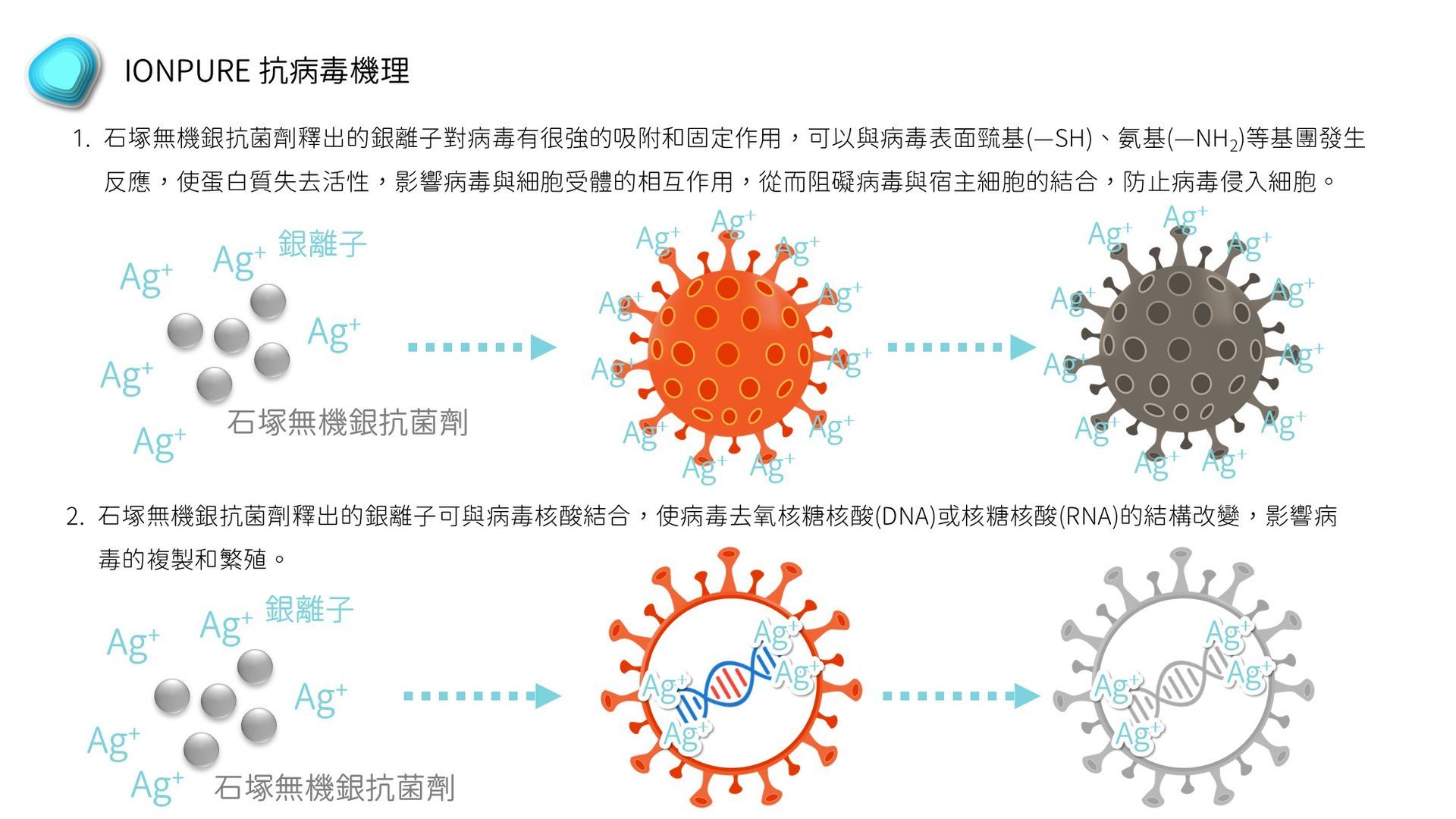 石塚硝子 | 石塚硝子抗菌劑 | 無機抗菌劑 | 氧化鋅抗菌劑 | 銀離子抗菌劑 | 奈米銀抗菌劑 | 奈米鋅抗菌劑 | 鋅離子抗菌劑 | 奈米銅抗菌劑 | 銅離子抗菌劑 | 除甲醛劑 | 防螨劑