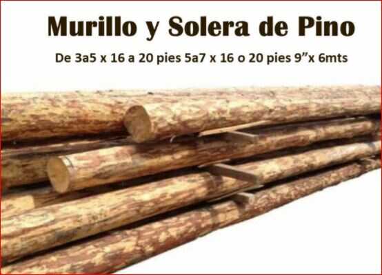 MADERERÍA EL PINO DEL VALLE - Venta de madera fina o para construcción